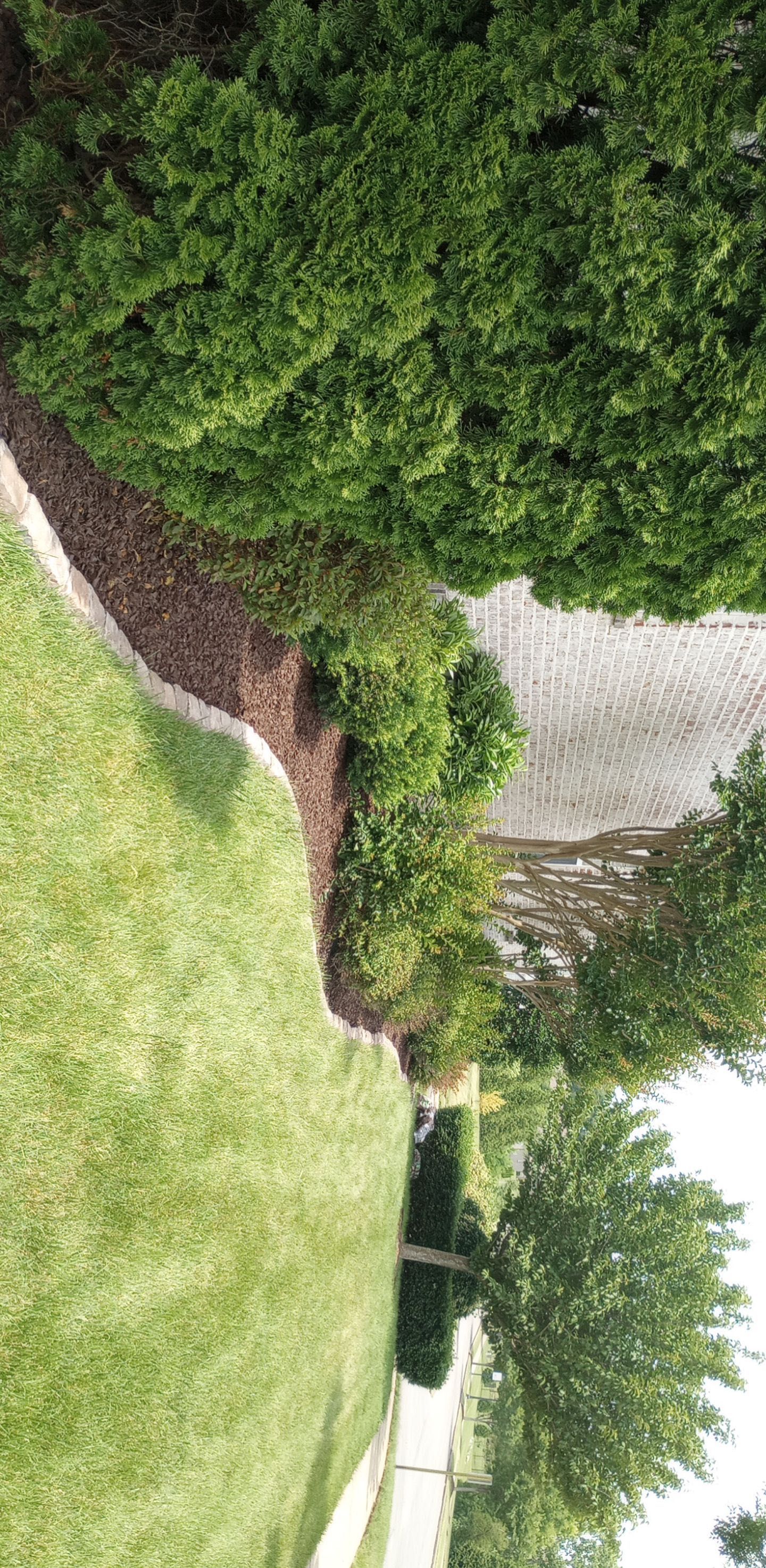 All Photos for Small Town HandyMen in Cross Plains, TN