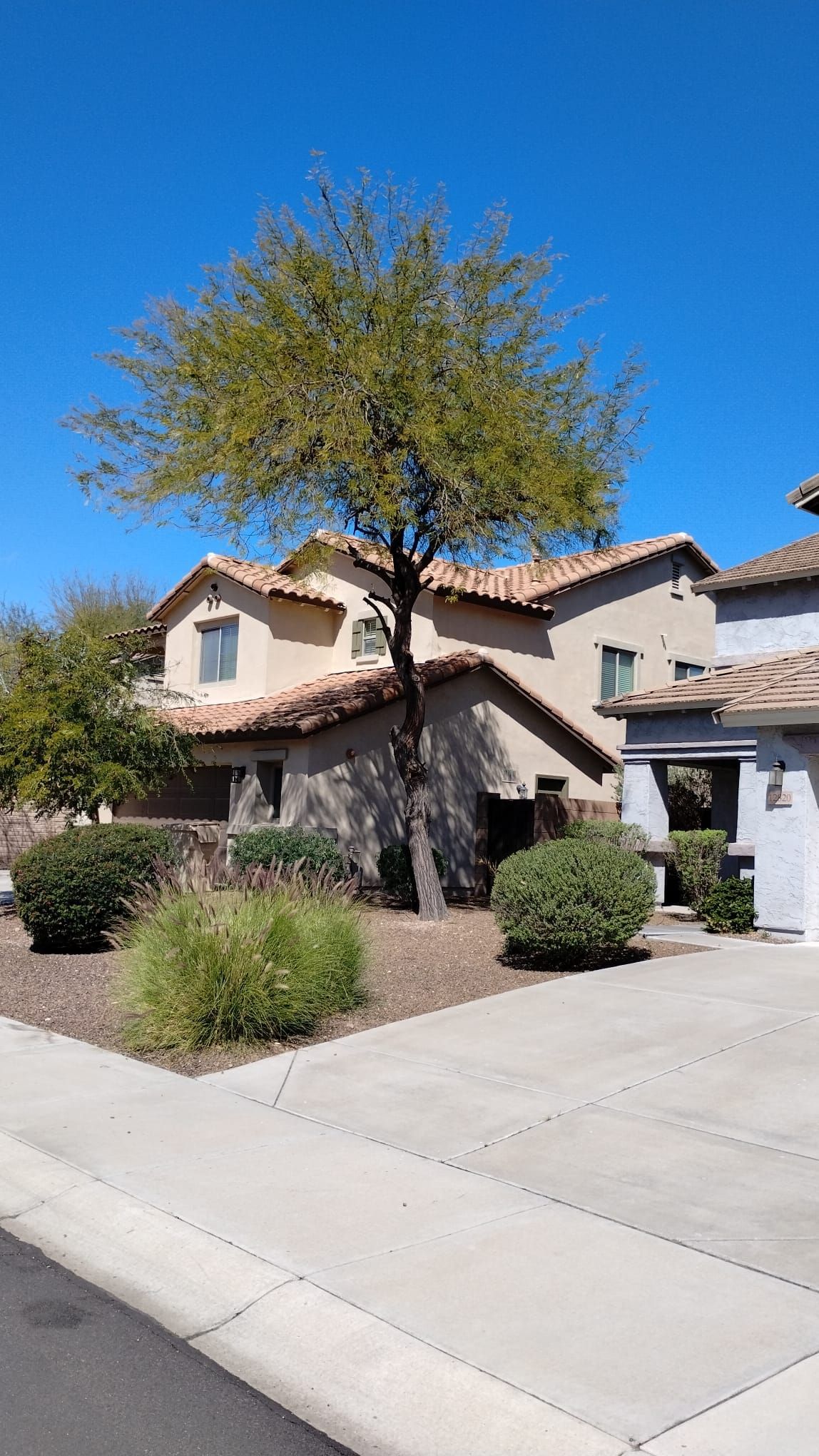  for Camacho AZ Landscaping LLC in Peoria, AZ