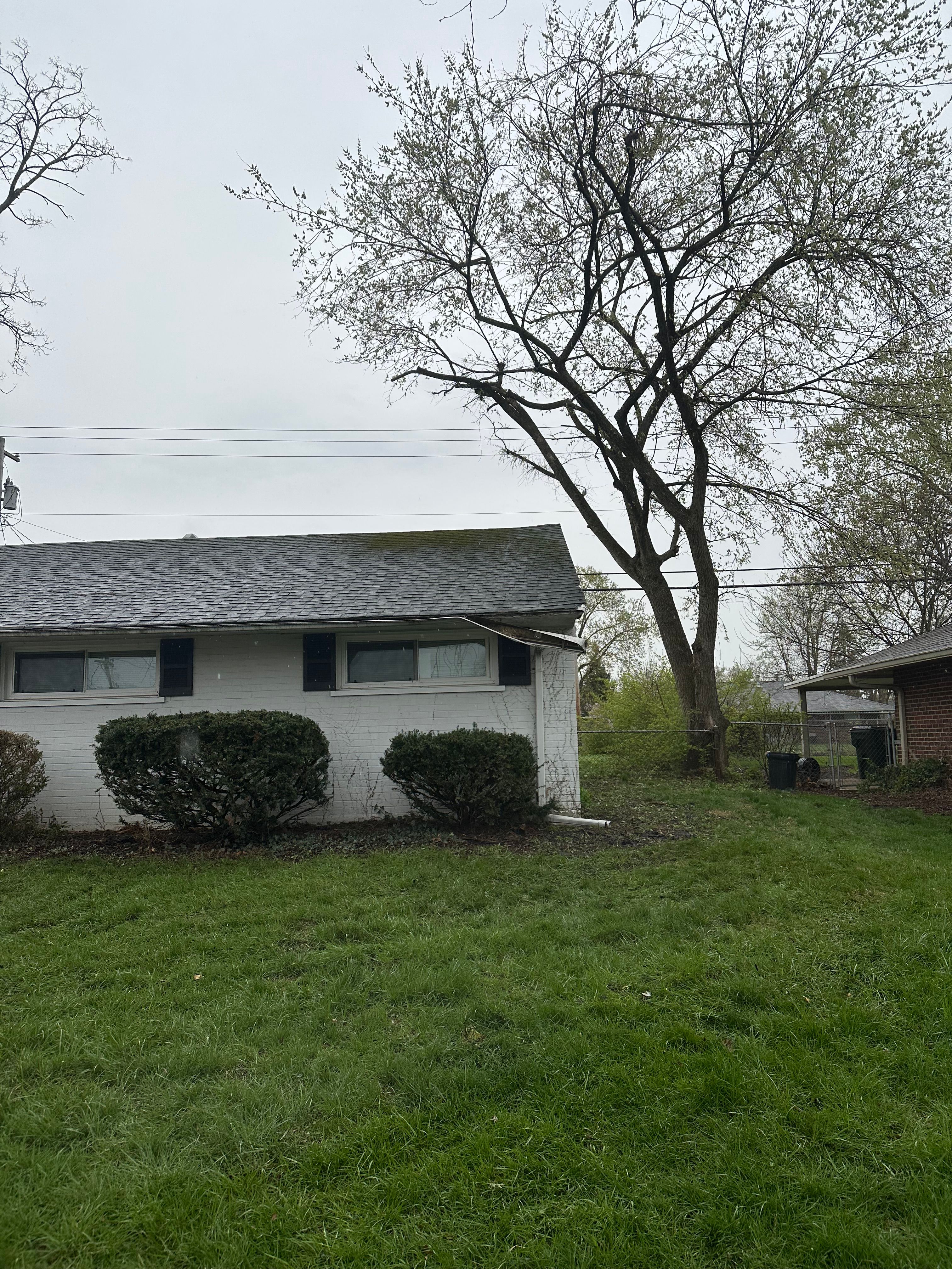 All Photos for Pro Tree Trim & Removal, Llc in Dayton, OH