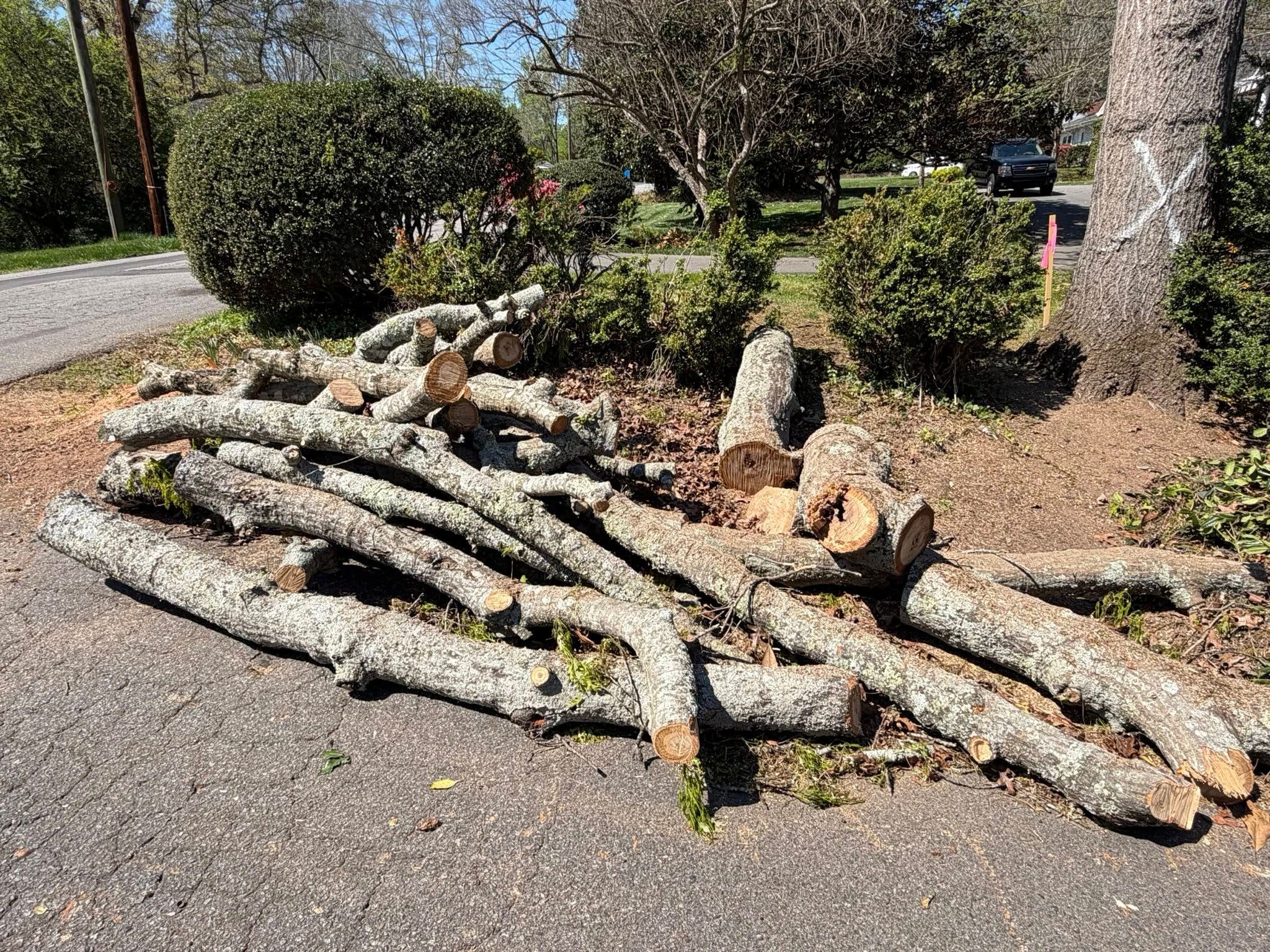  for ABC Tree Service in Dobson, NC