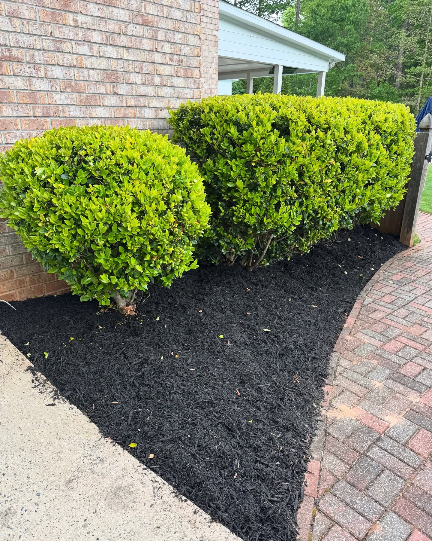 Landscaping for Bros With A Cause in Cumming, GA