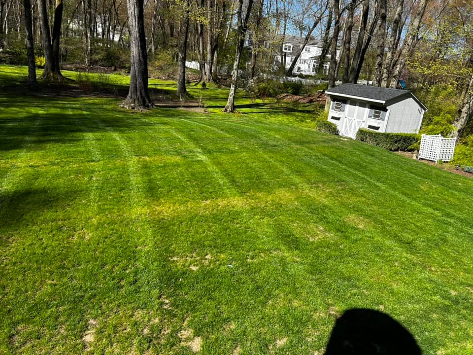  for Jose Gonzalez Landscaping in Stamford, CT