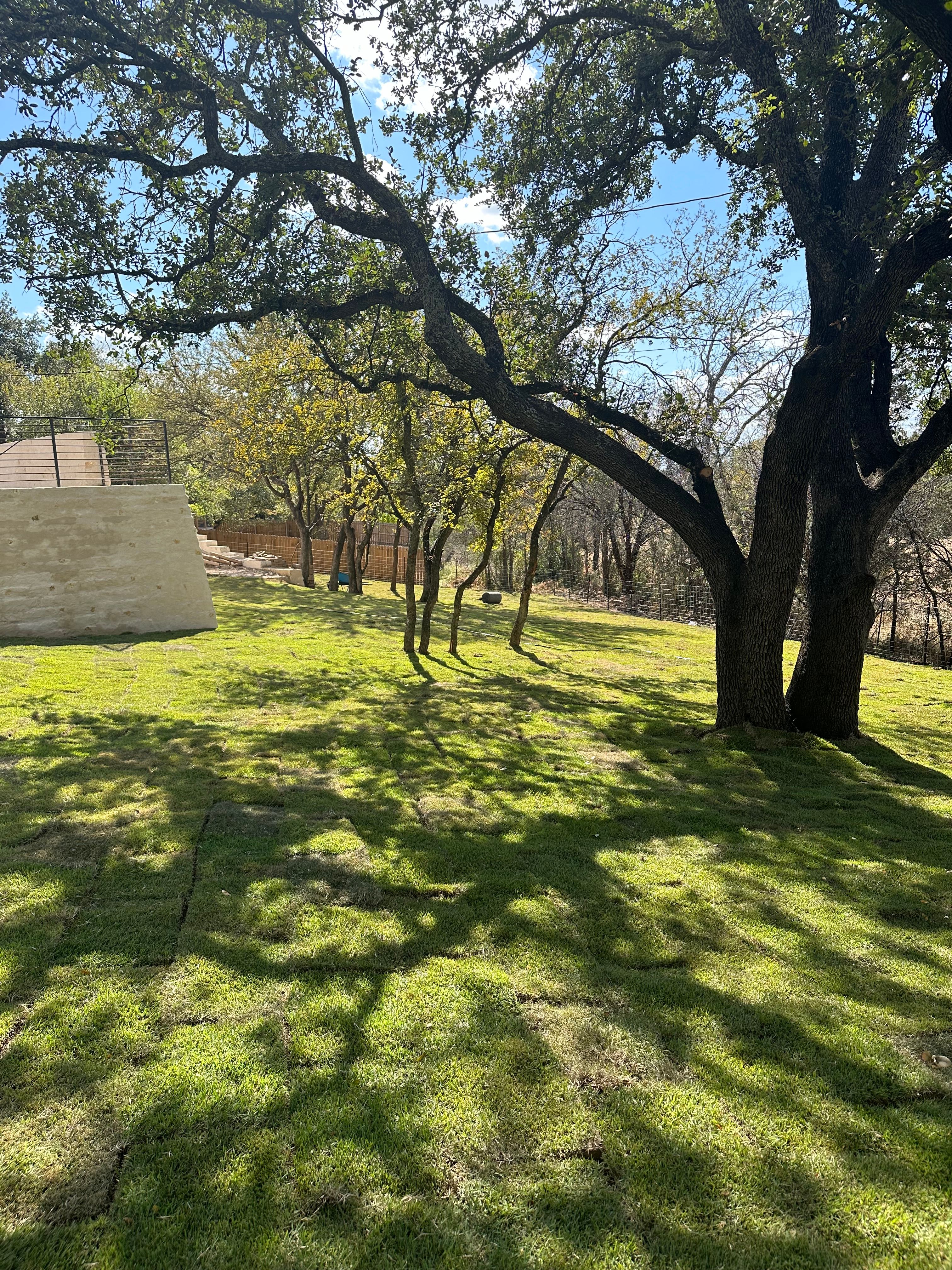  for Chavira Landscape & Irrigation in Austin, TX