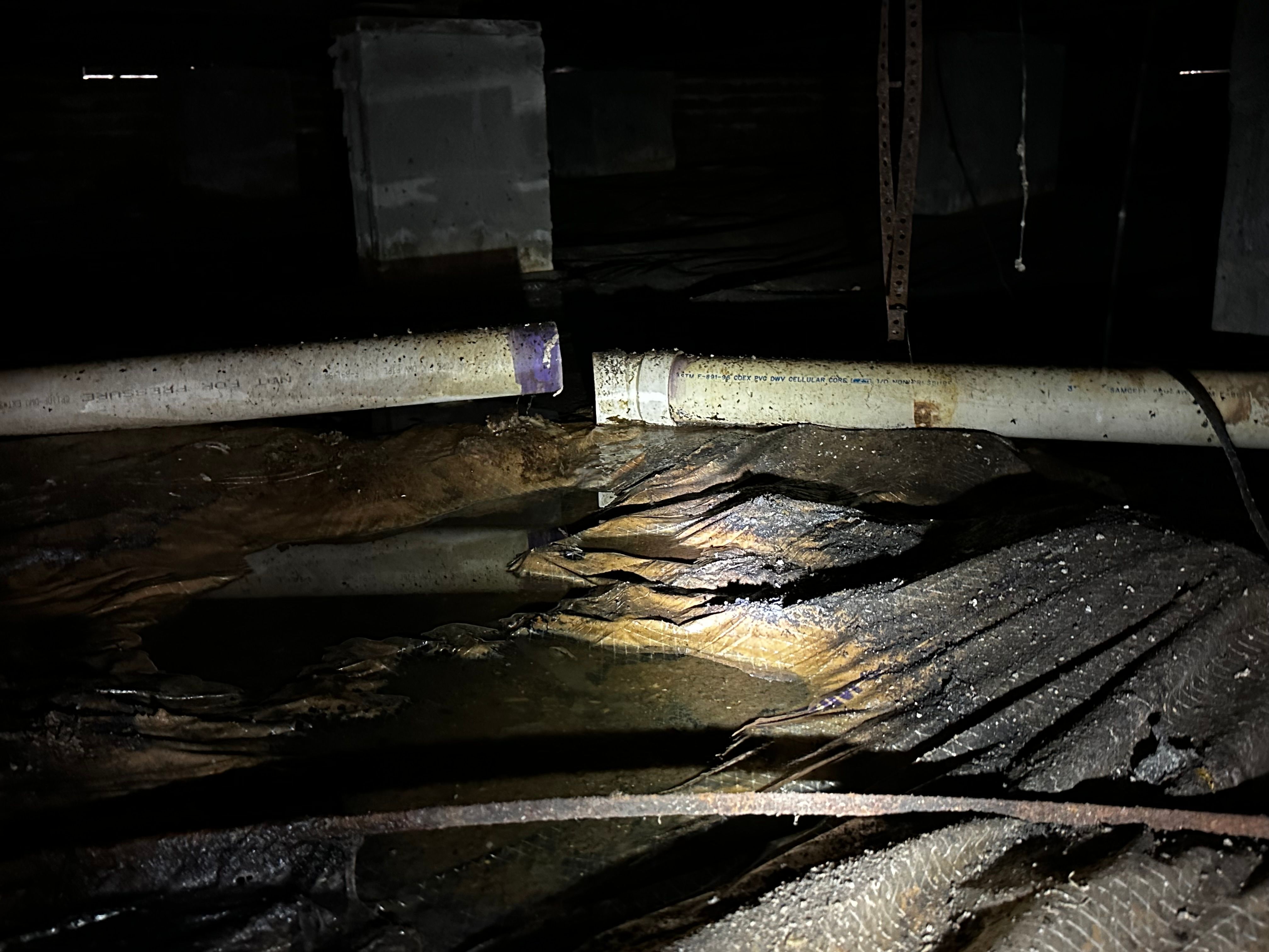  for Purified Plumbing Services INC in Roxboro, NC