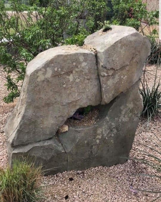  for Texas Curb N Borders in Houston, TX