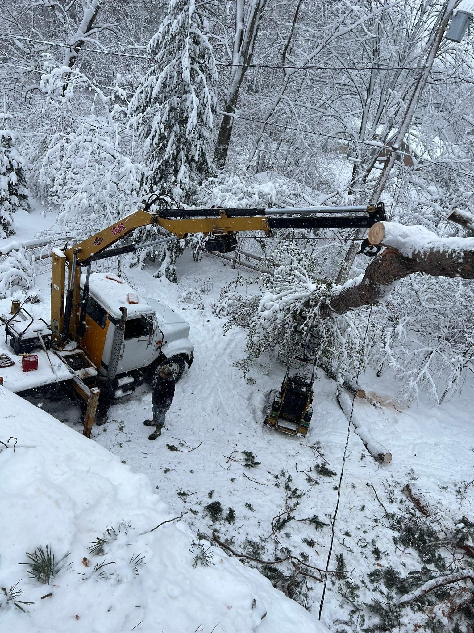 for The Bucking Arborists in Flint, MI