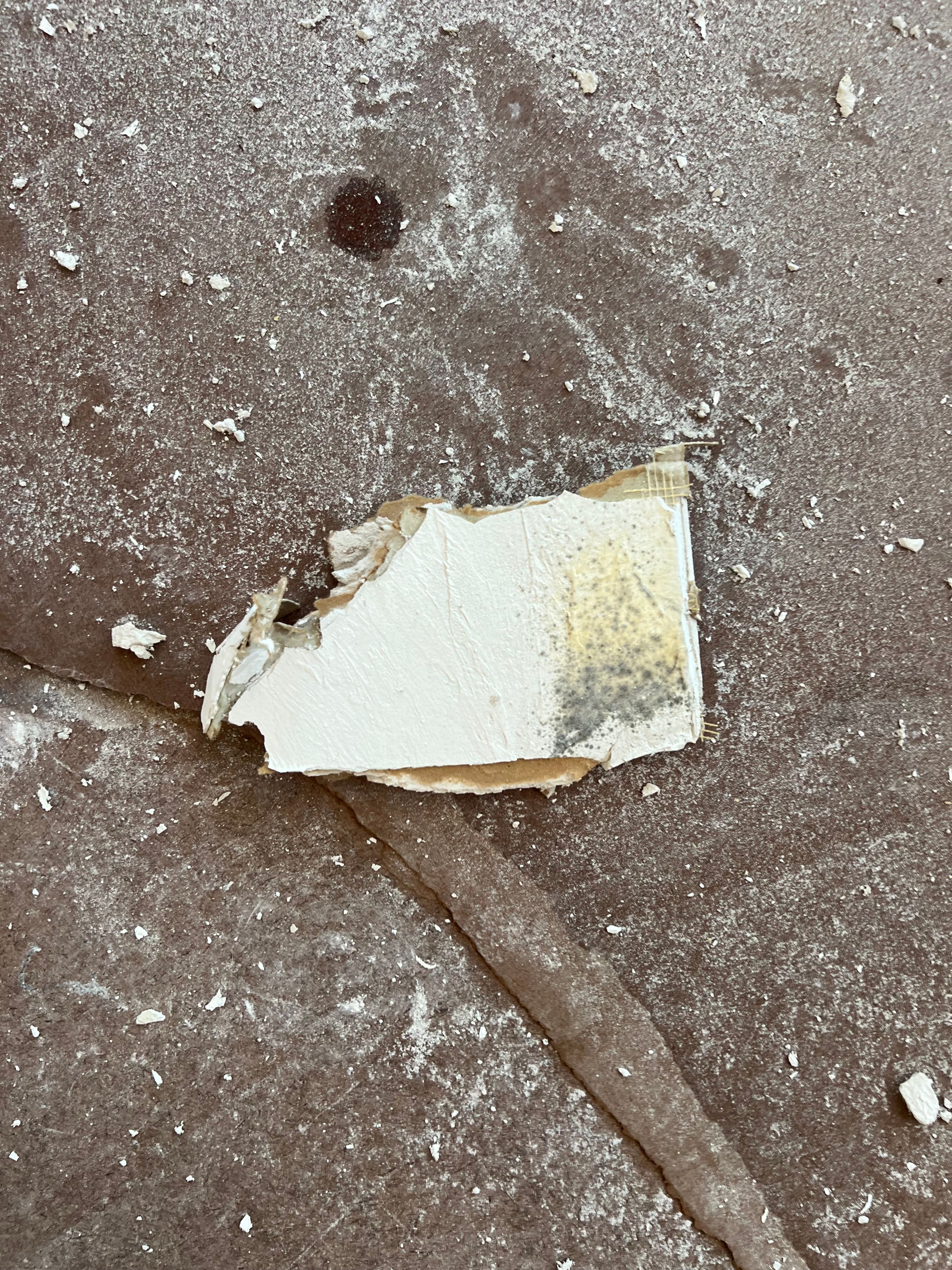  for N&D Restoration Services When Disaster Strikes, We Come In in Cape Coral,  FL