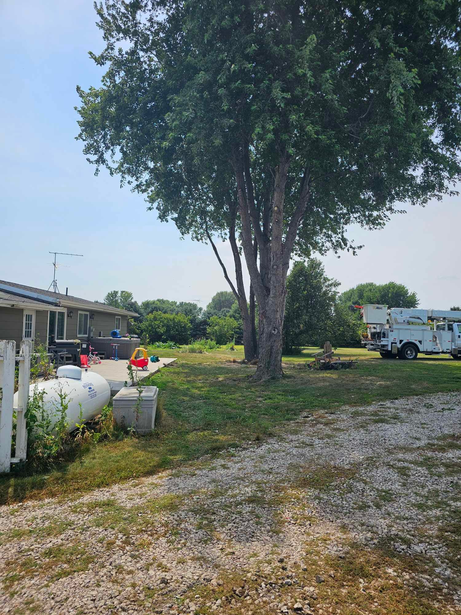  for Tree Tech in Luverne, MN