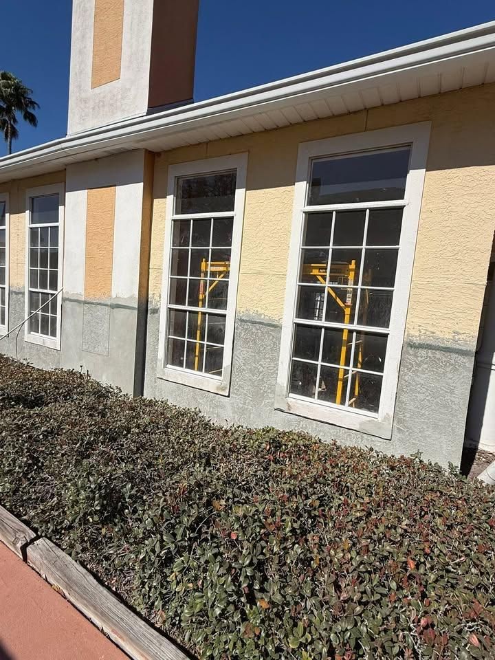  for Escorpio Painting in Tampa, FL