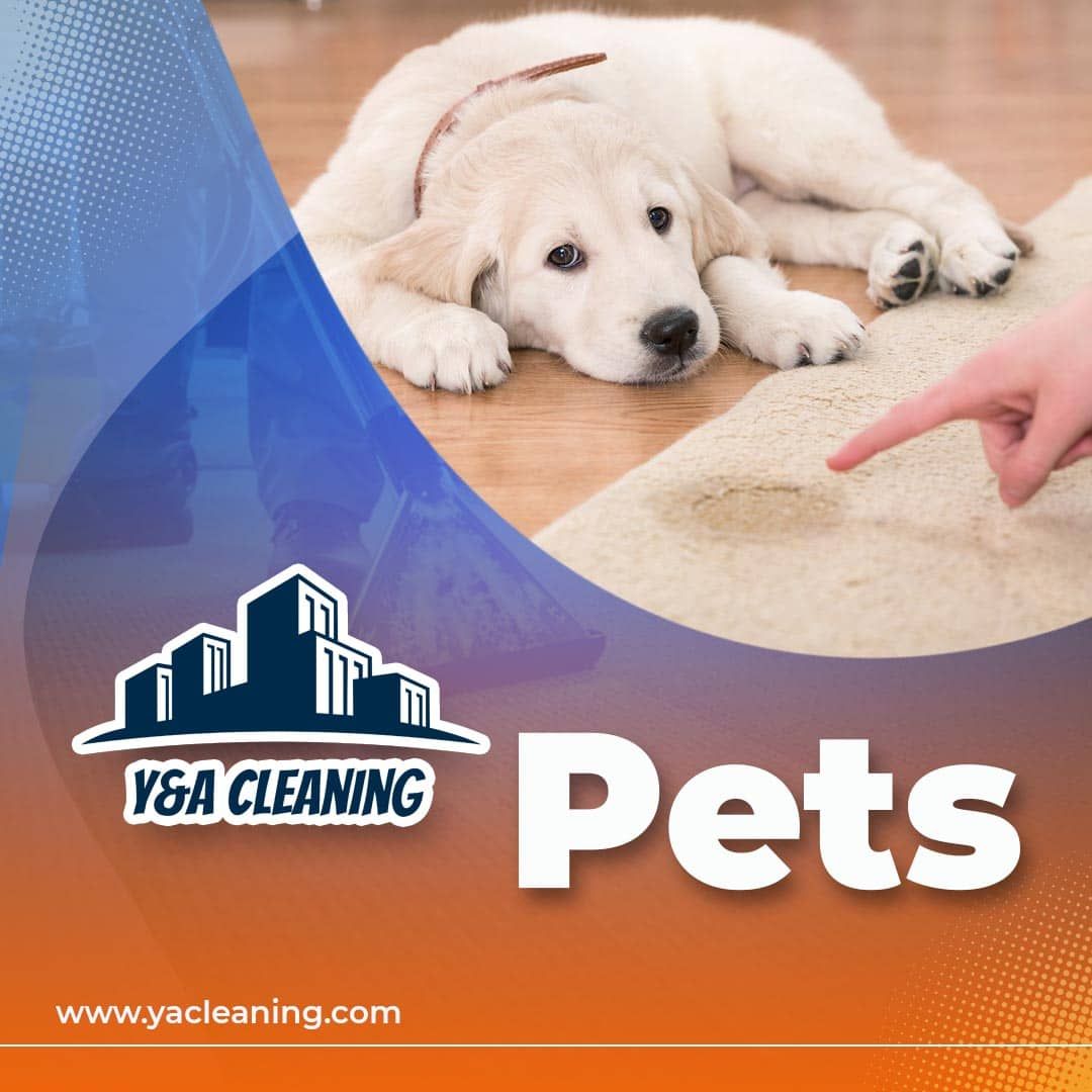  for Y&A Cleaning LLC in Houston, TX