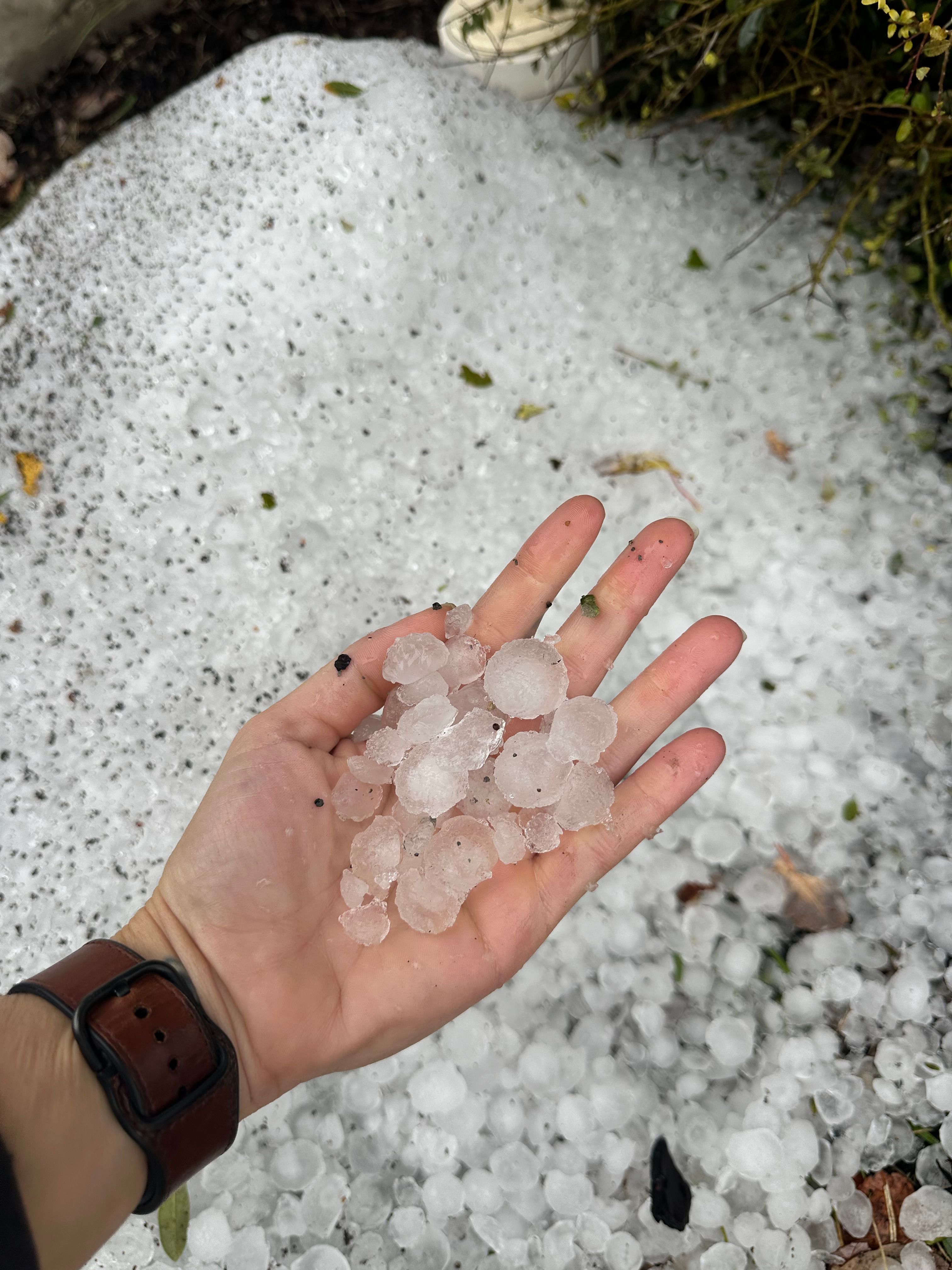 HAIL NO! for Major League Roofing in Frisco, TX
