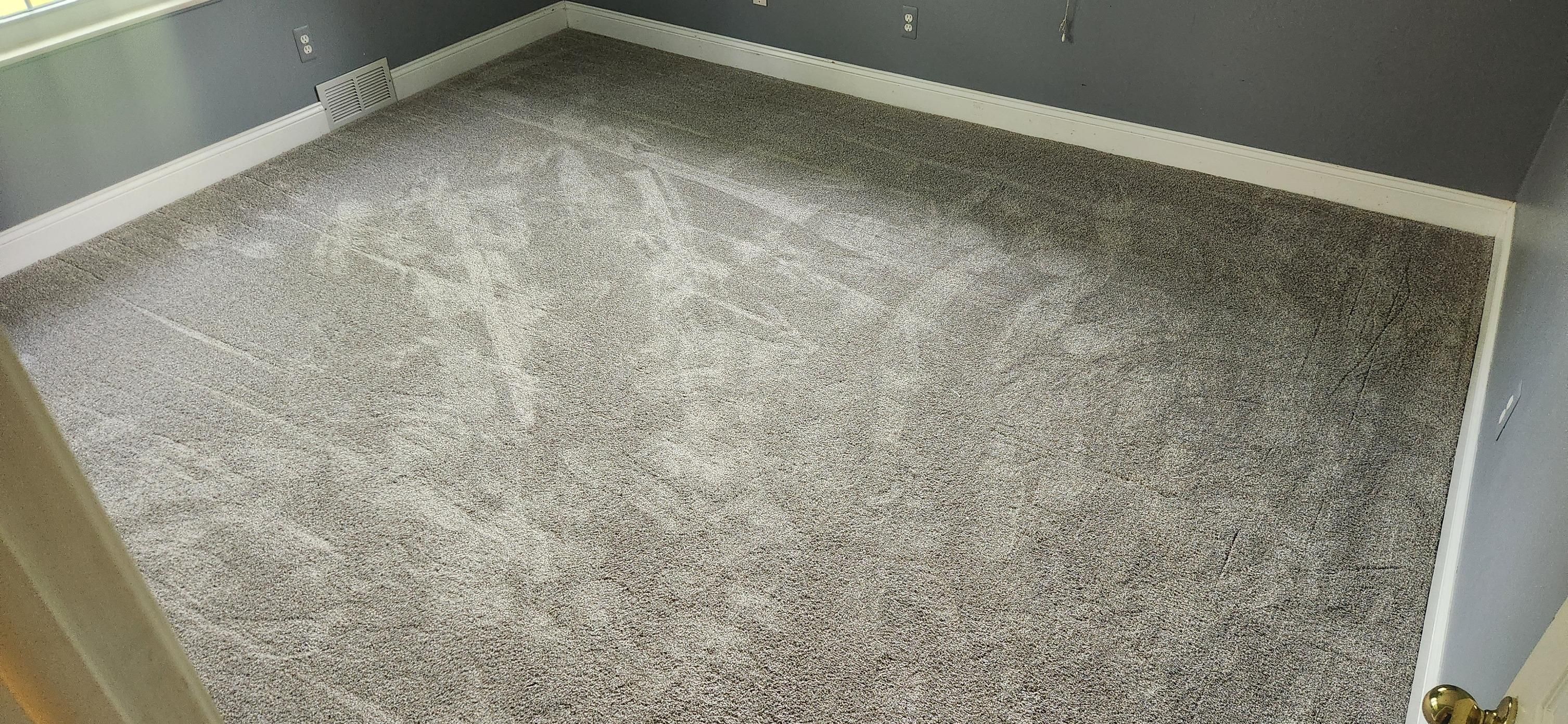  for Cut a Rug Flooring in Lake Orion, MI