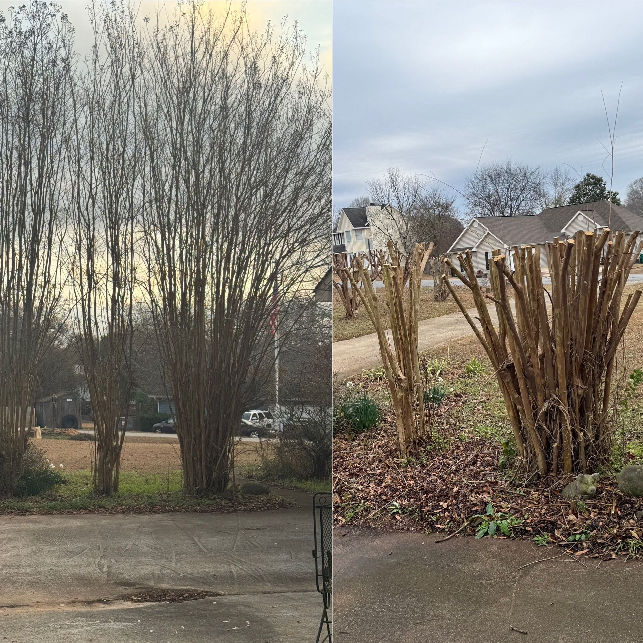 All Photos for Camalett Services in Perry, GA