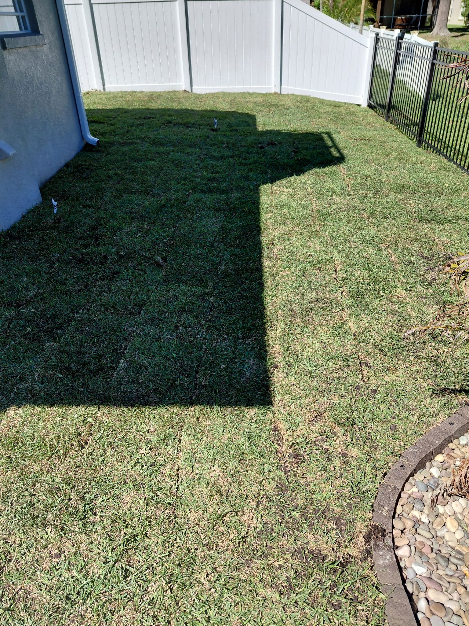  for Gulf Bay Sod in Clearwater, FL