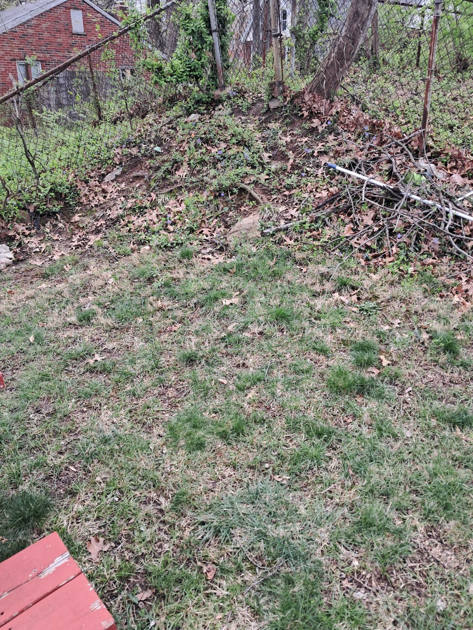  for Jackson Lawn Services LLC in St Louis, MO