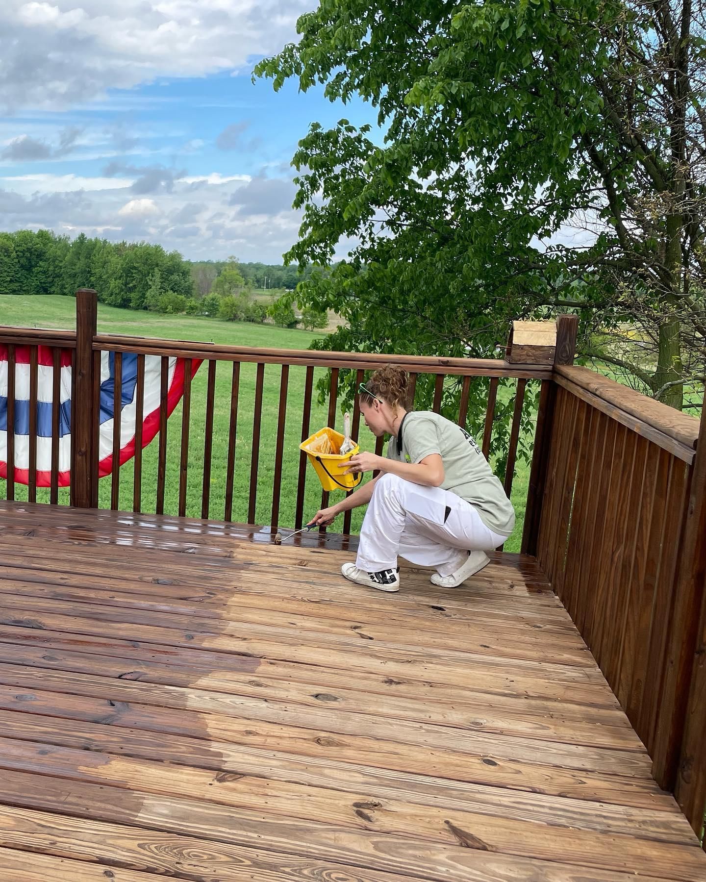 for Apex Painting in Livonia, MI