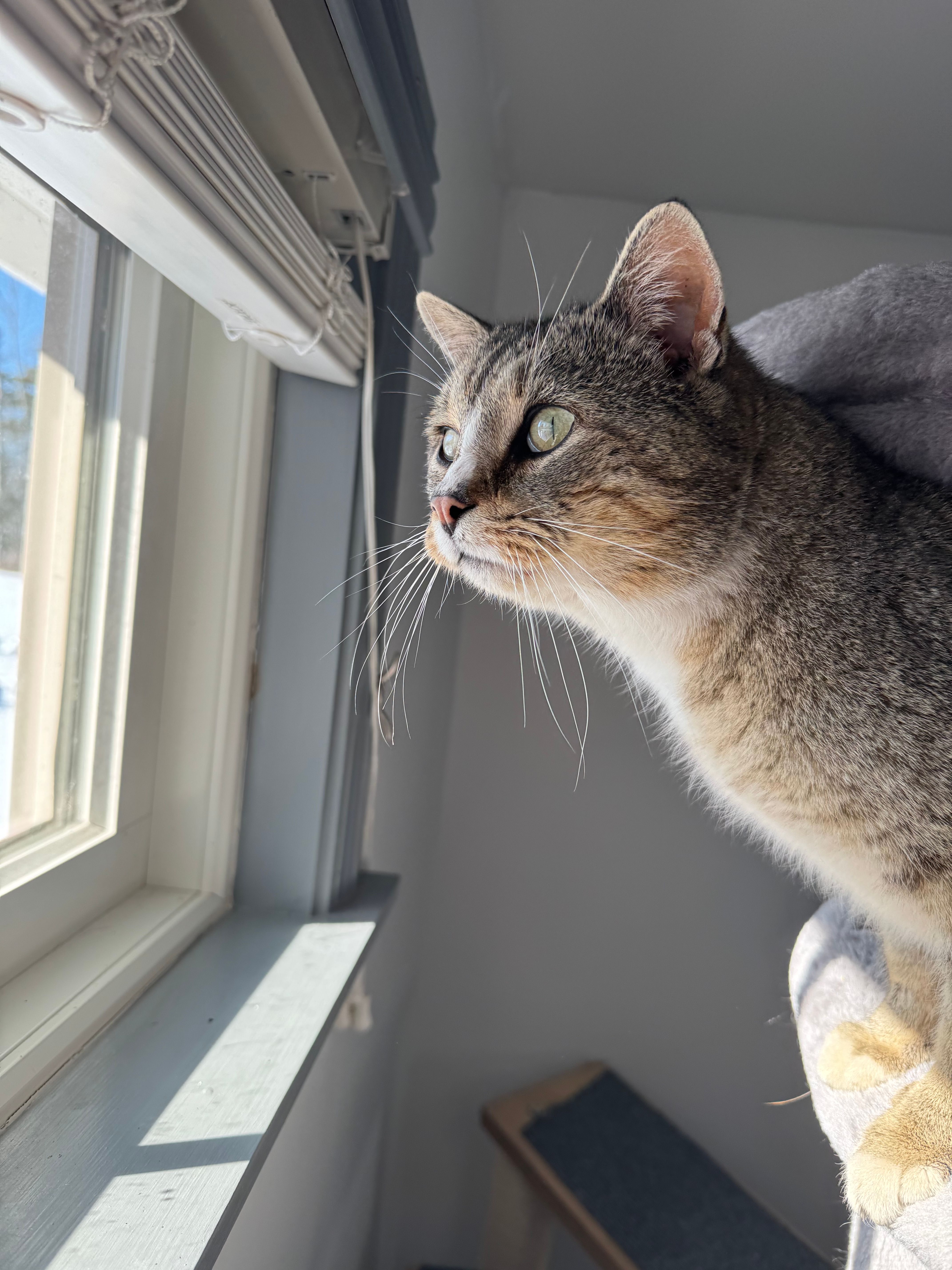  for Sullivan Sanctuary of Maine in Brunswick, ME