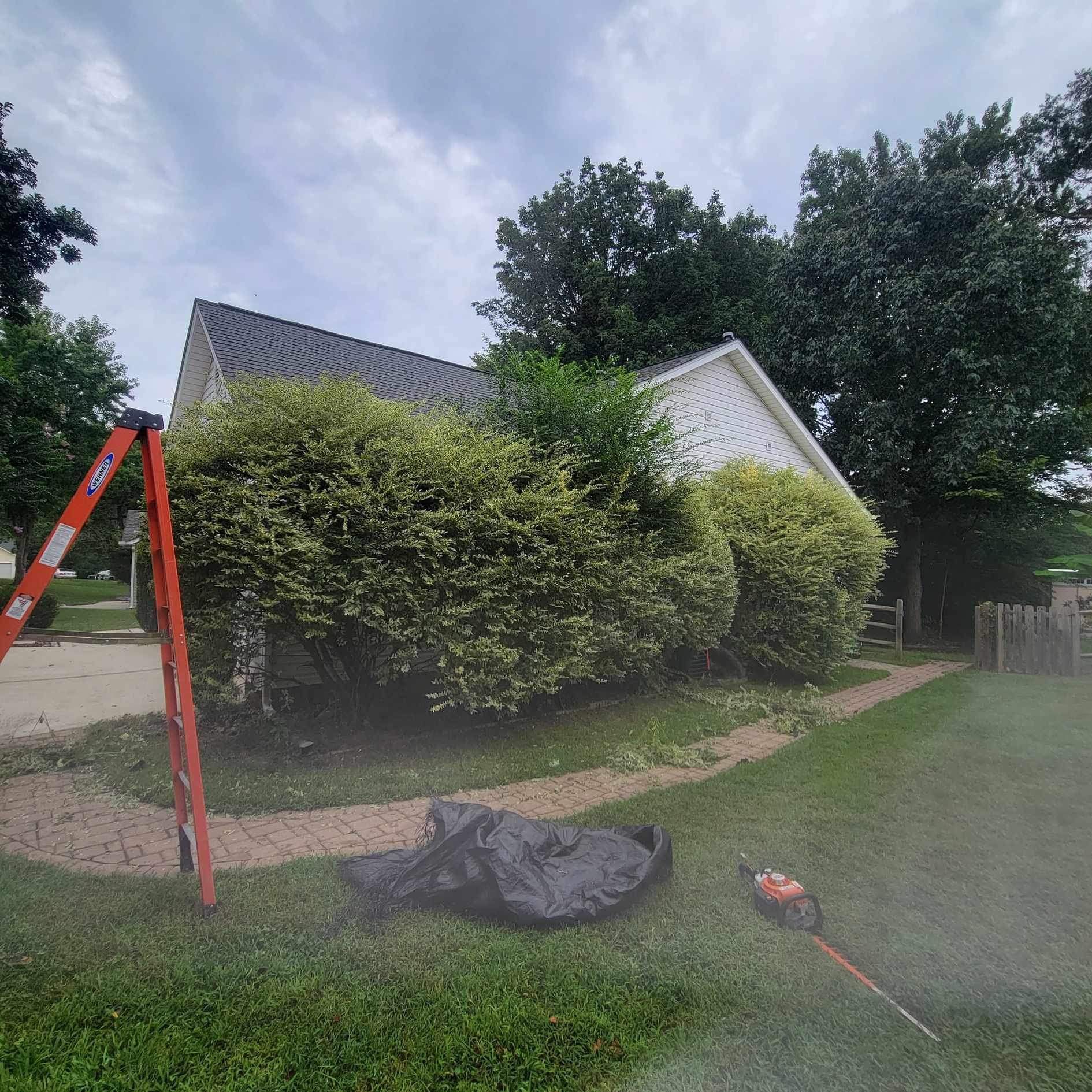  for Stem Tree Service in Belmont, NC