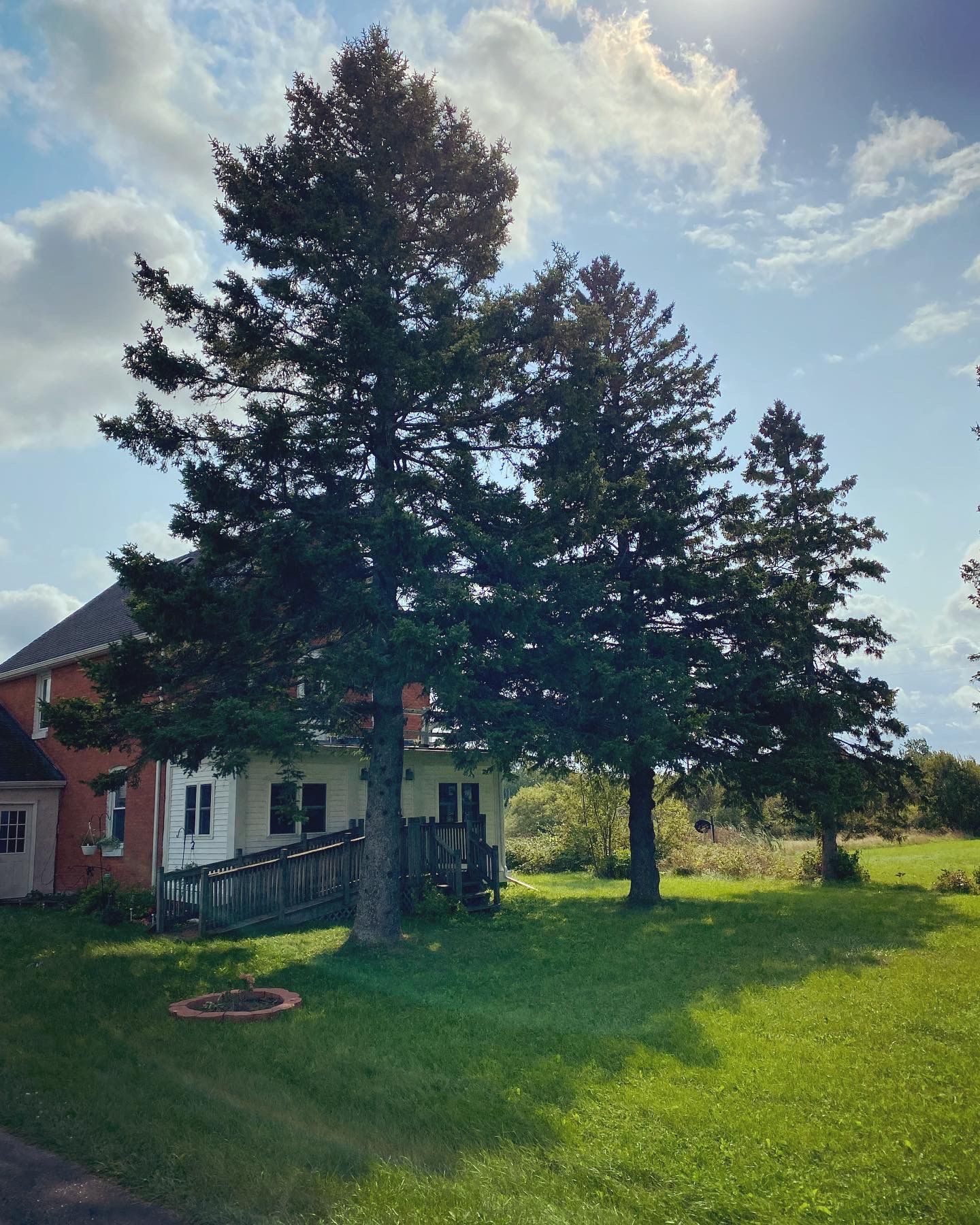 Tree Removal for Bear Creek Tree Service LLC in Rudyard, MI