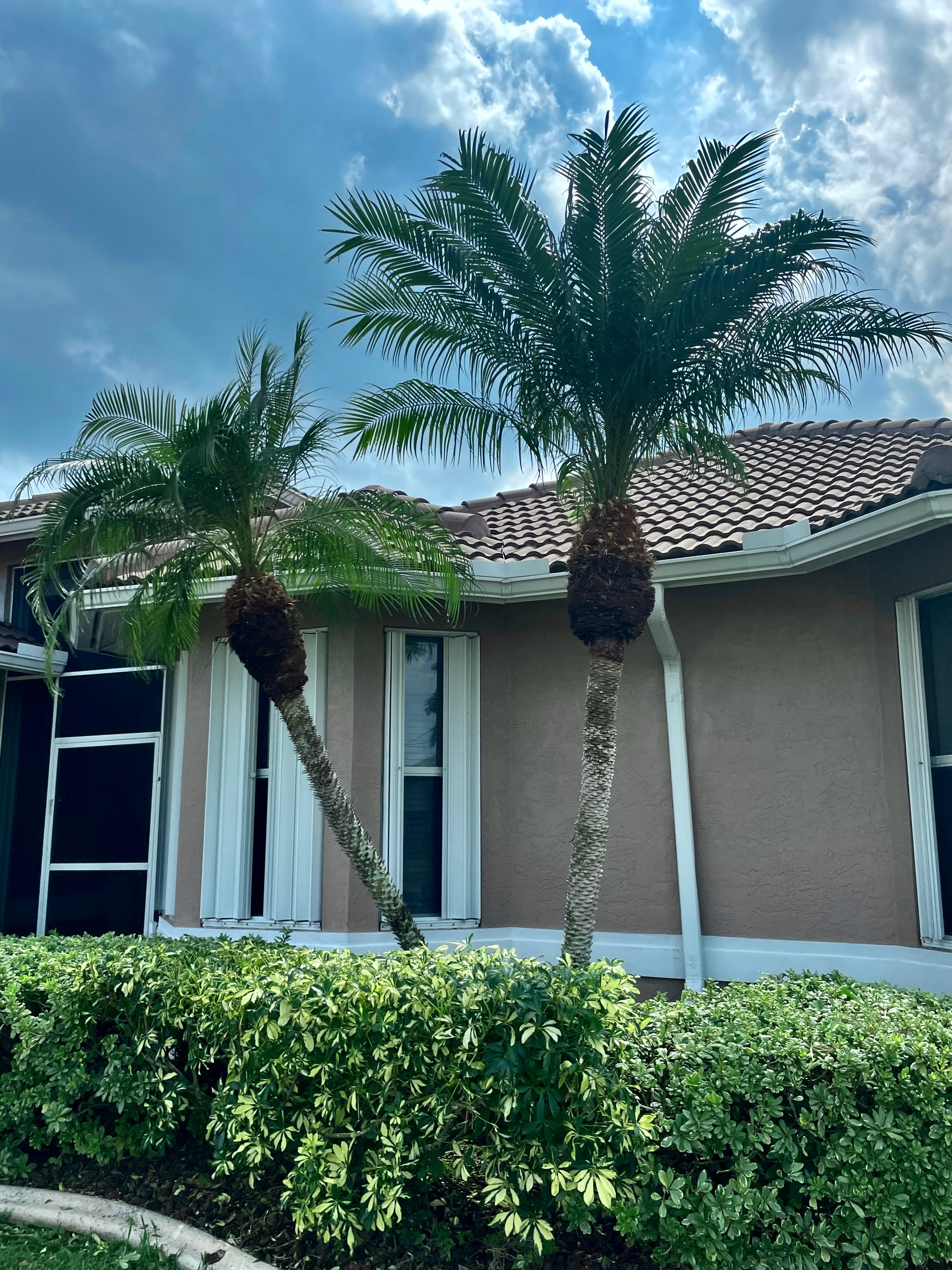  for BH Lawn and Landscape in Fort Myers, FL