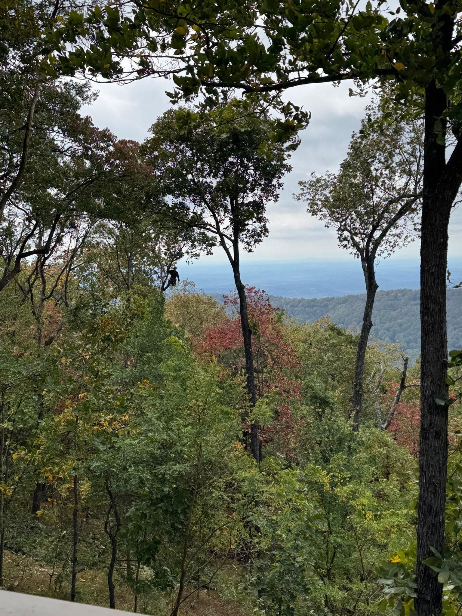 All Photos for Pinedown LLC in Cherokee County, GA