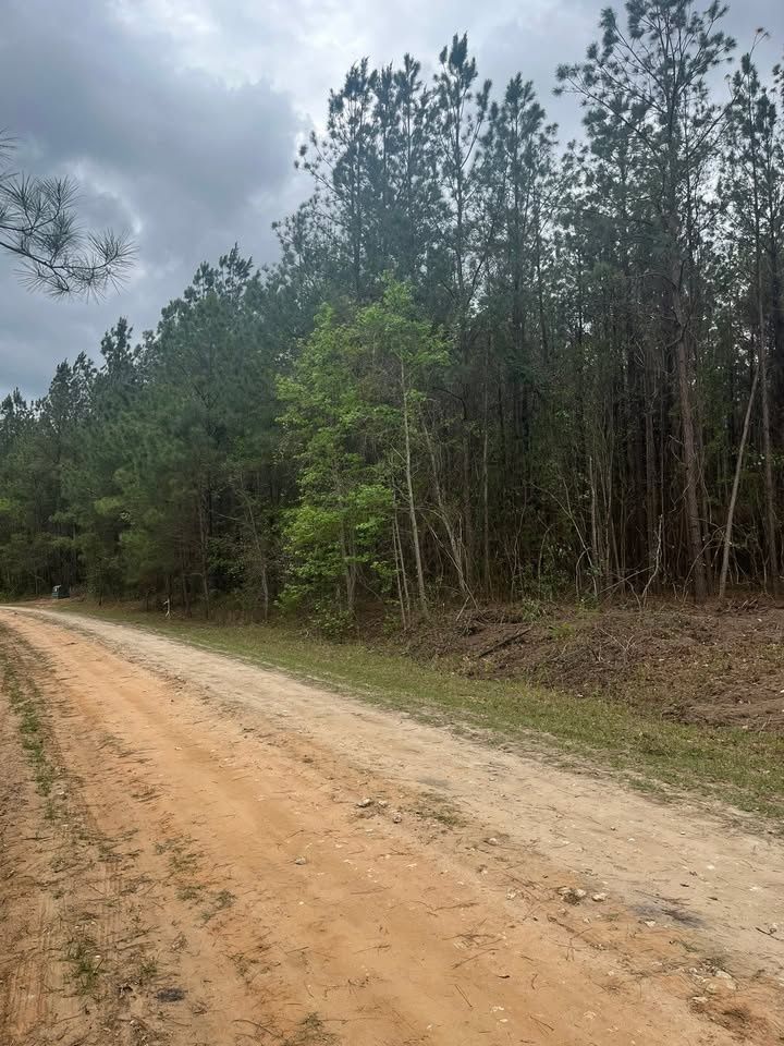  for Touchberry Clearing & Grading Llc. in Columbia, South Carolina