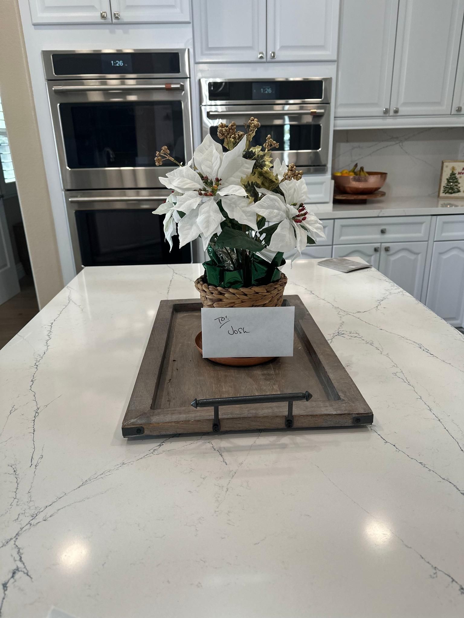 All Photos for The Painter in Citrus Heights, CA