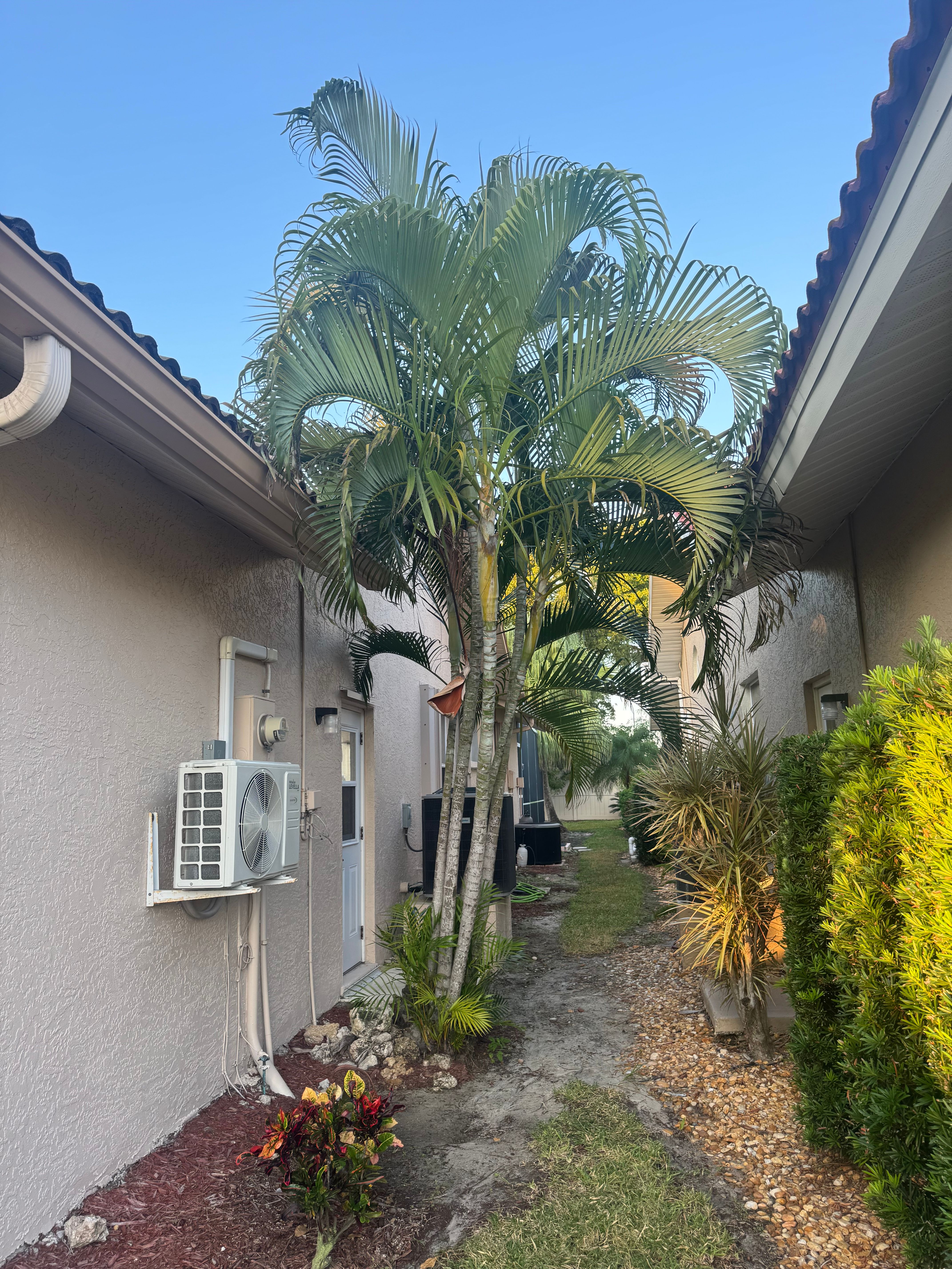  for BH Lawn and Landscape in Fort Myers, FL
