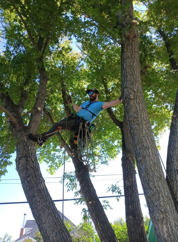  for Two Fellers Tree Service in Buffalo, WY