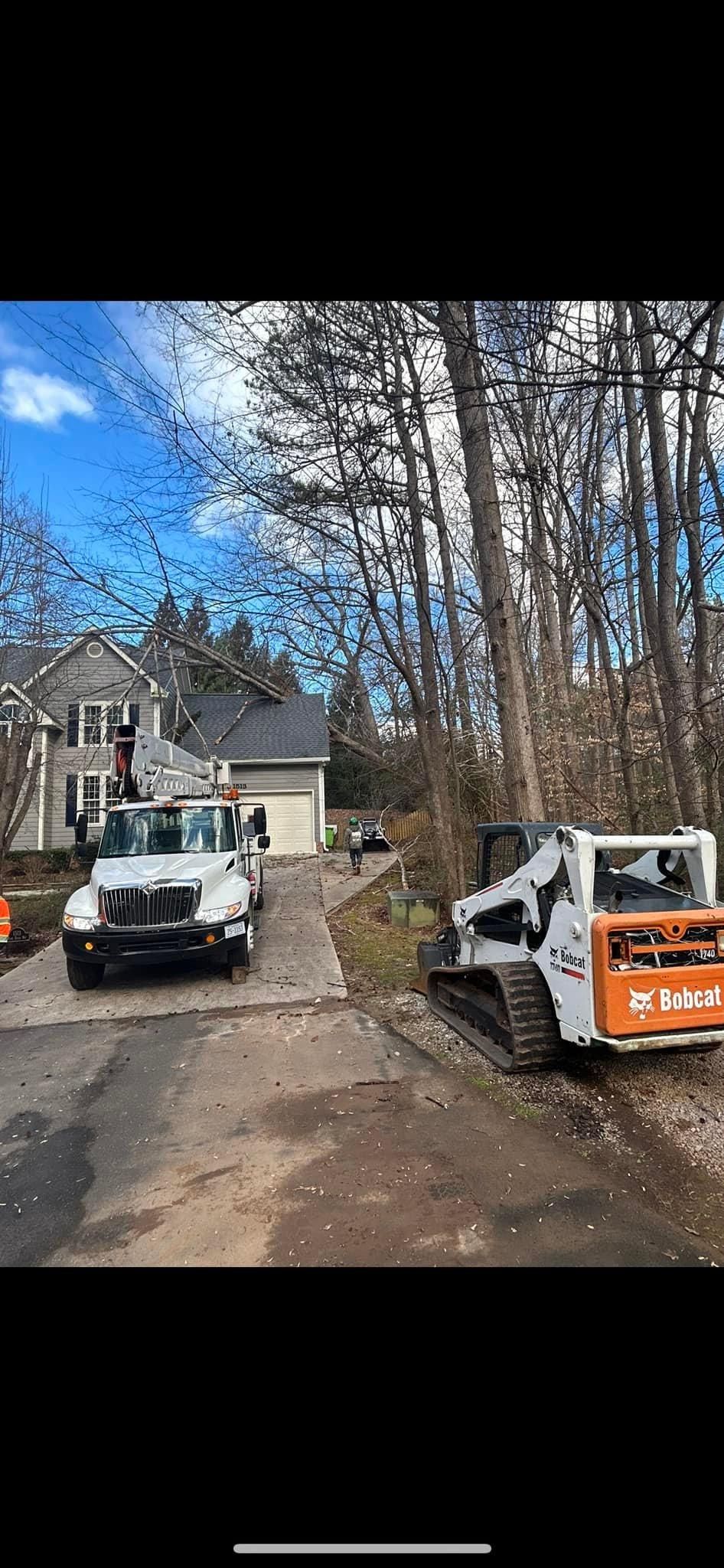  for AB Tree Service in Raleigh, NC