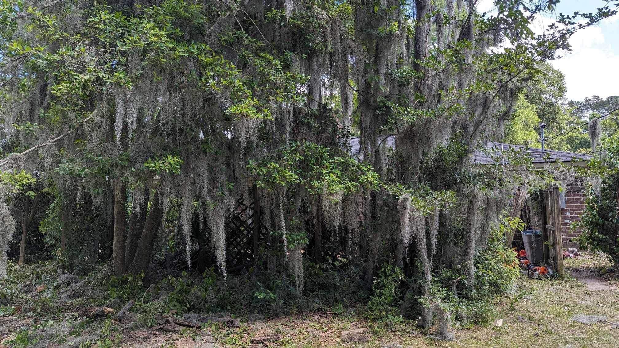  for Coastalscapes Landscaping & Turf Management  in Savannah, GA