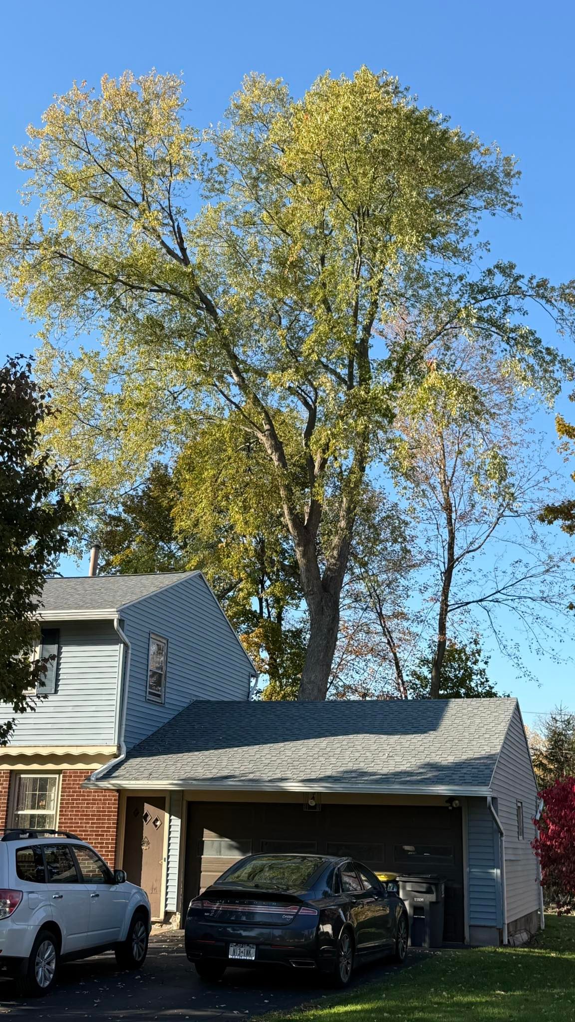  for Minnesota Seasonal in Corcoran, MN