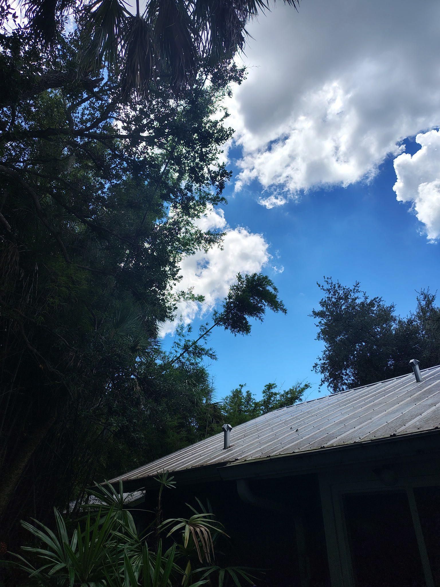  for Nick of Time Tree Service in North Port, FL