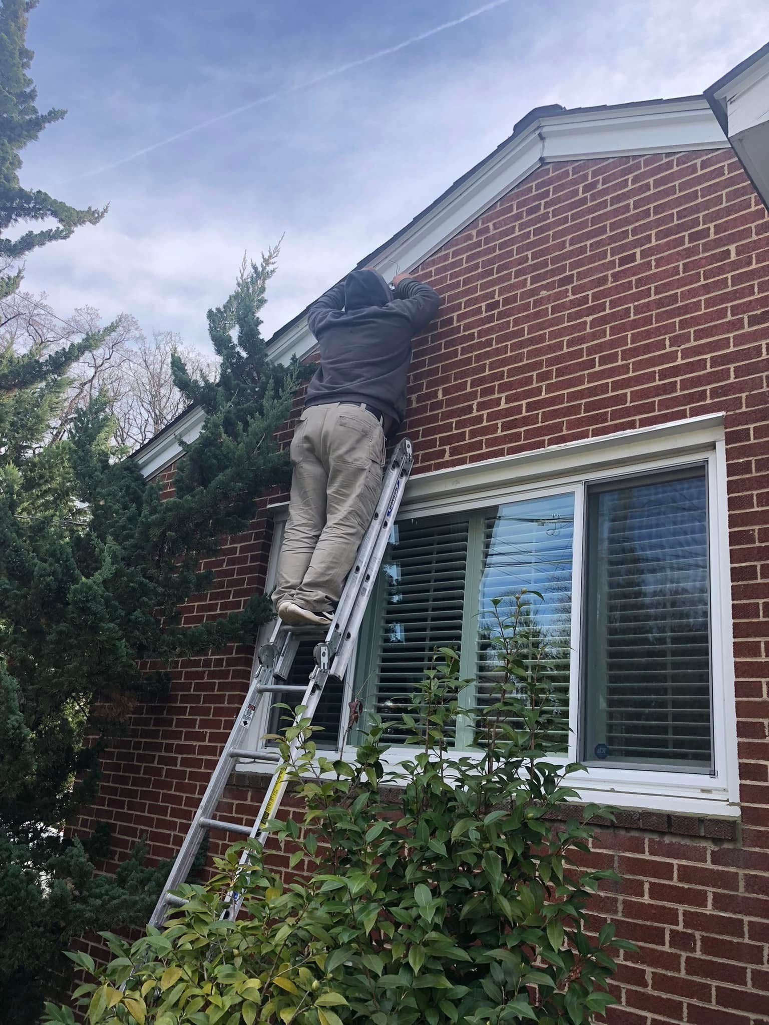  for Biddle's Services LLC in Edgewater, MD