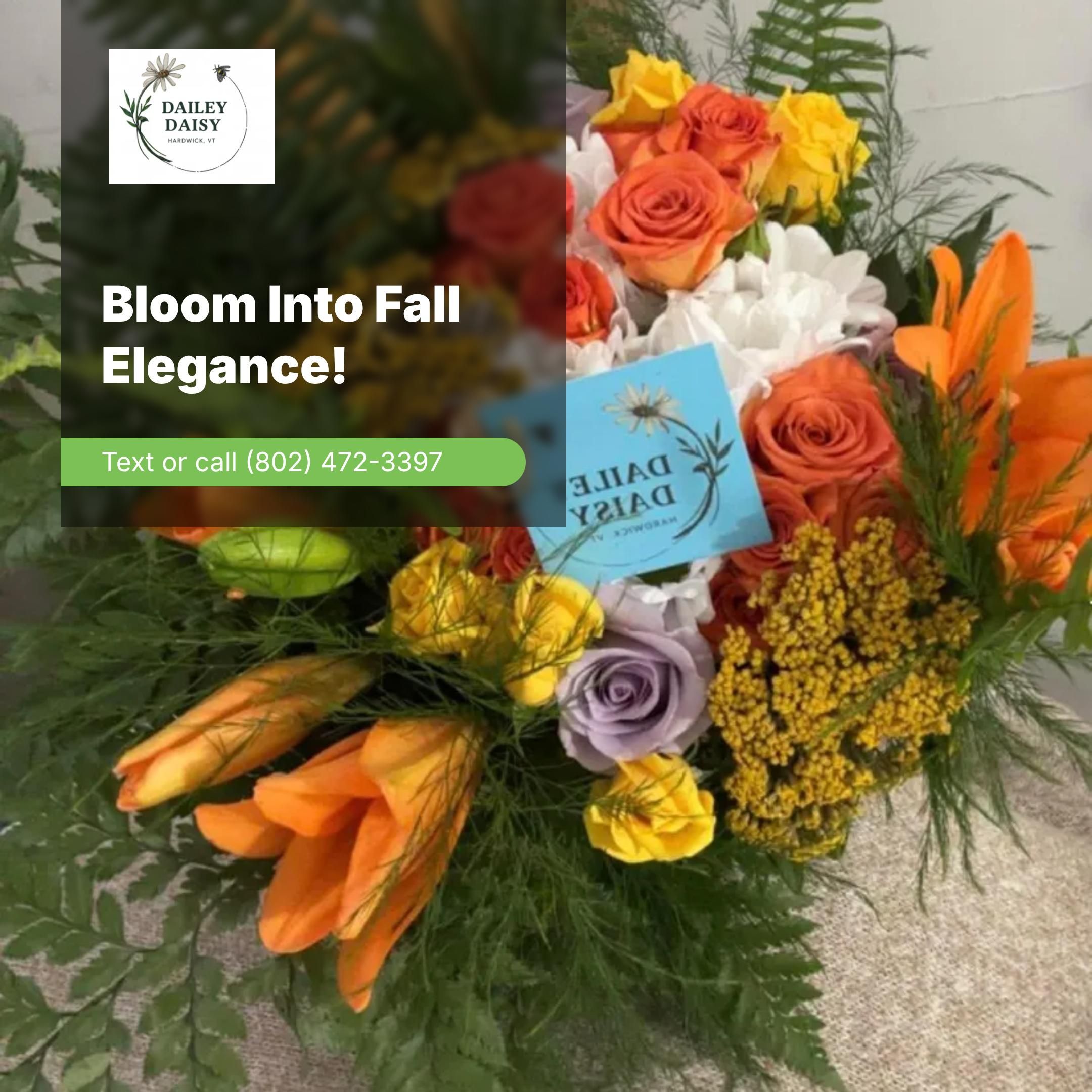  for The Dailey Daisy in Hardwick, VT