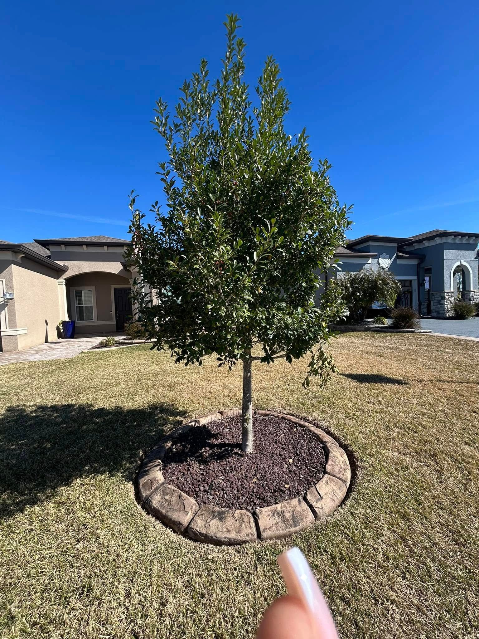  for J and E LAWN Landscaping in Gainesville, Florida
