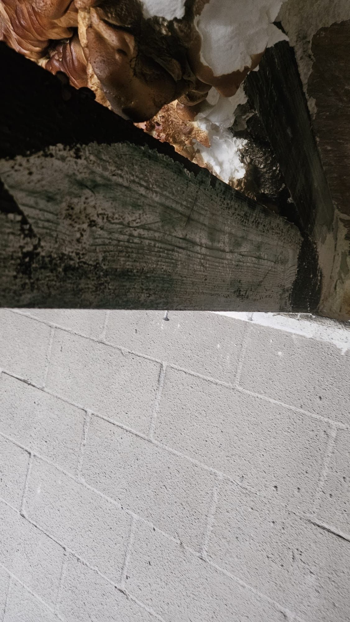  for N&D Restoration Services When Disaster Strikes, We Come In in Cape Coral,  FL