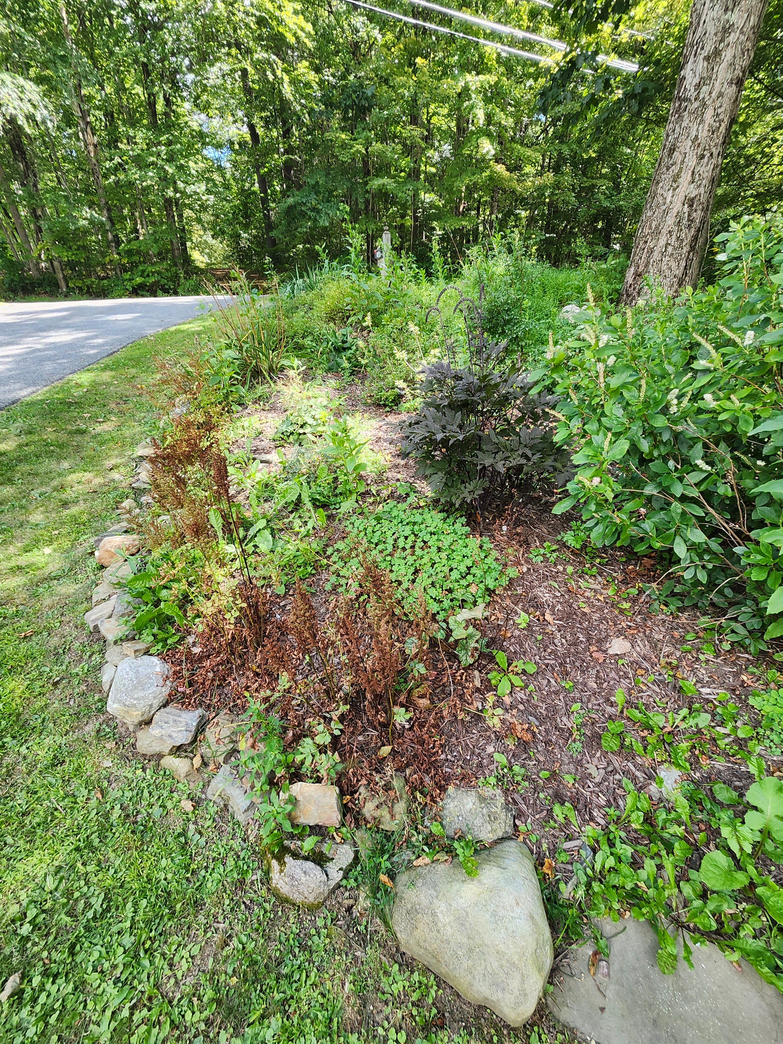 Muclhing & Weeding for Landscape Innovations LLC in Torrington, CT