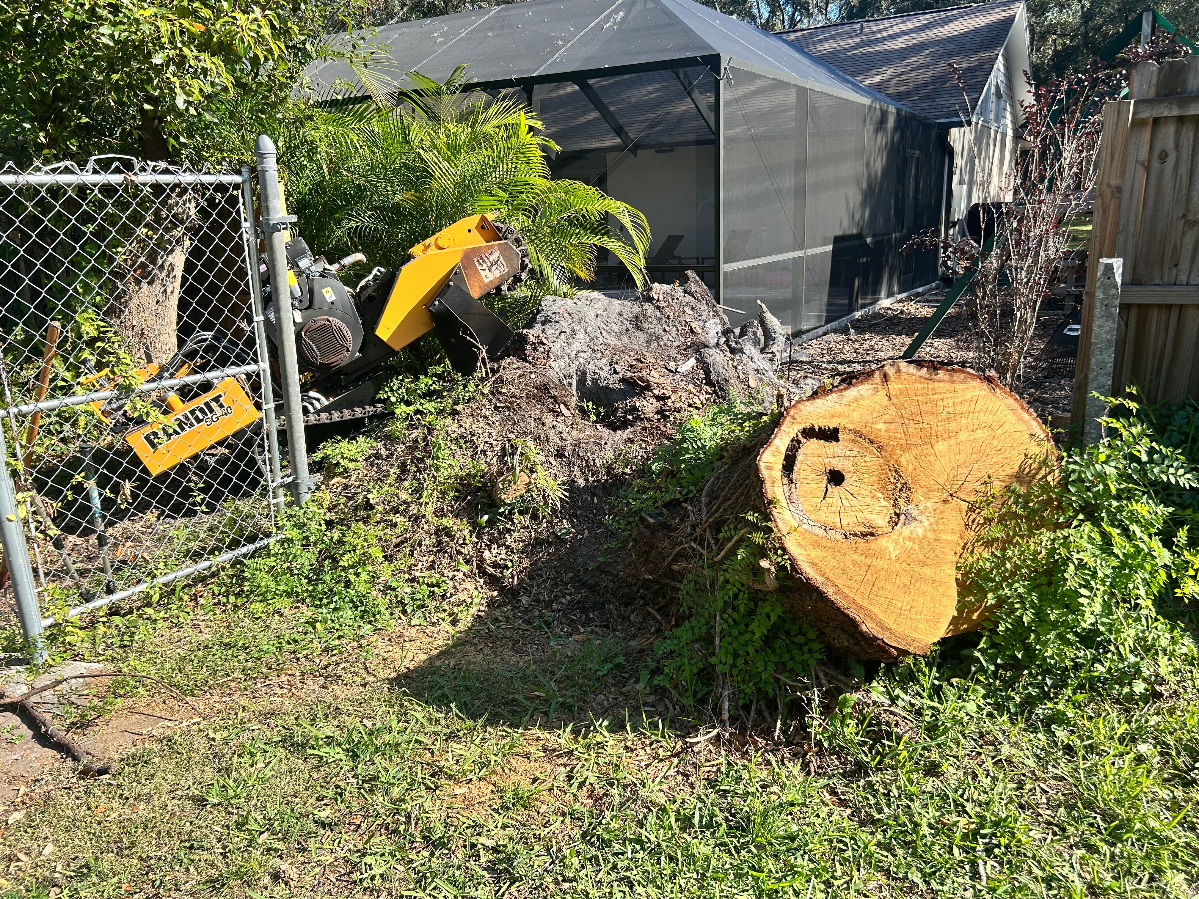  for Greene Acres Stump Grinding in Plant City, FL