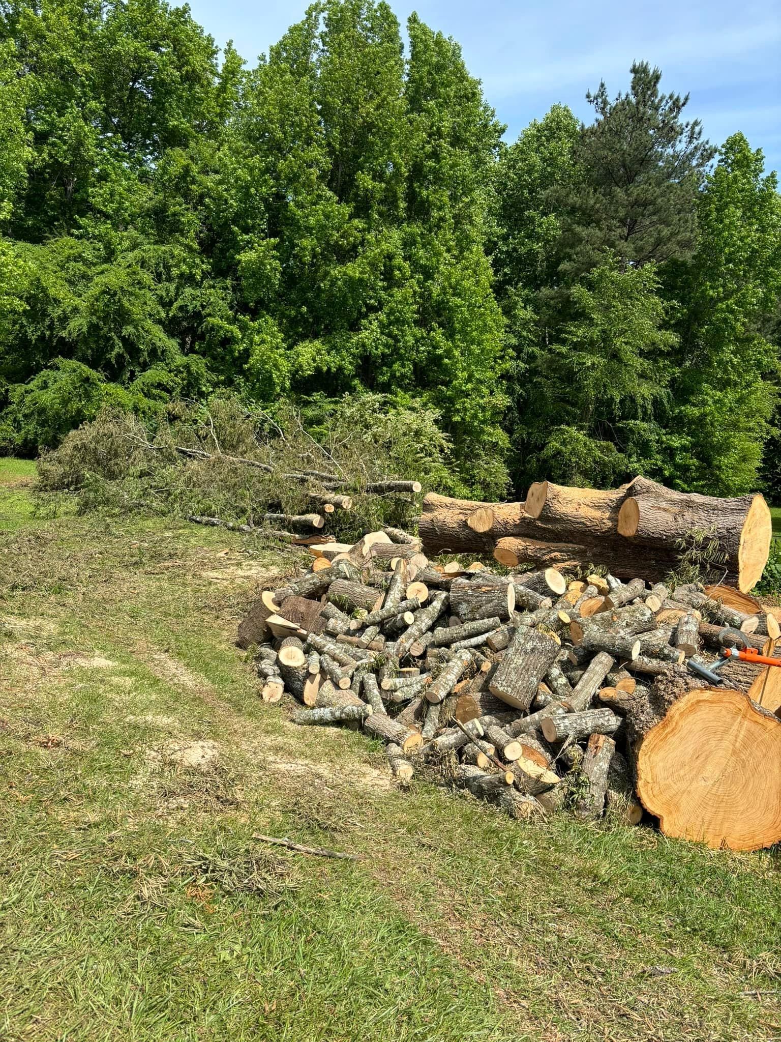  for Ascending Tree Service LLC in Kenbridge, VA