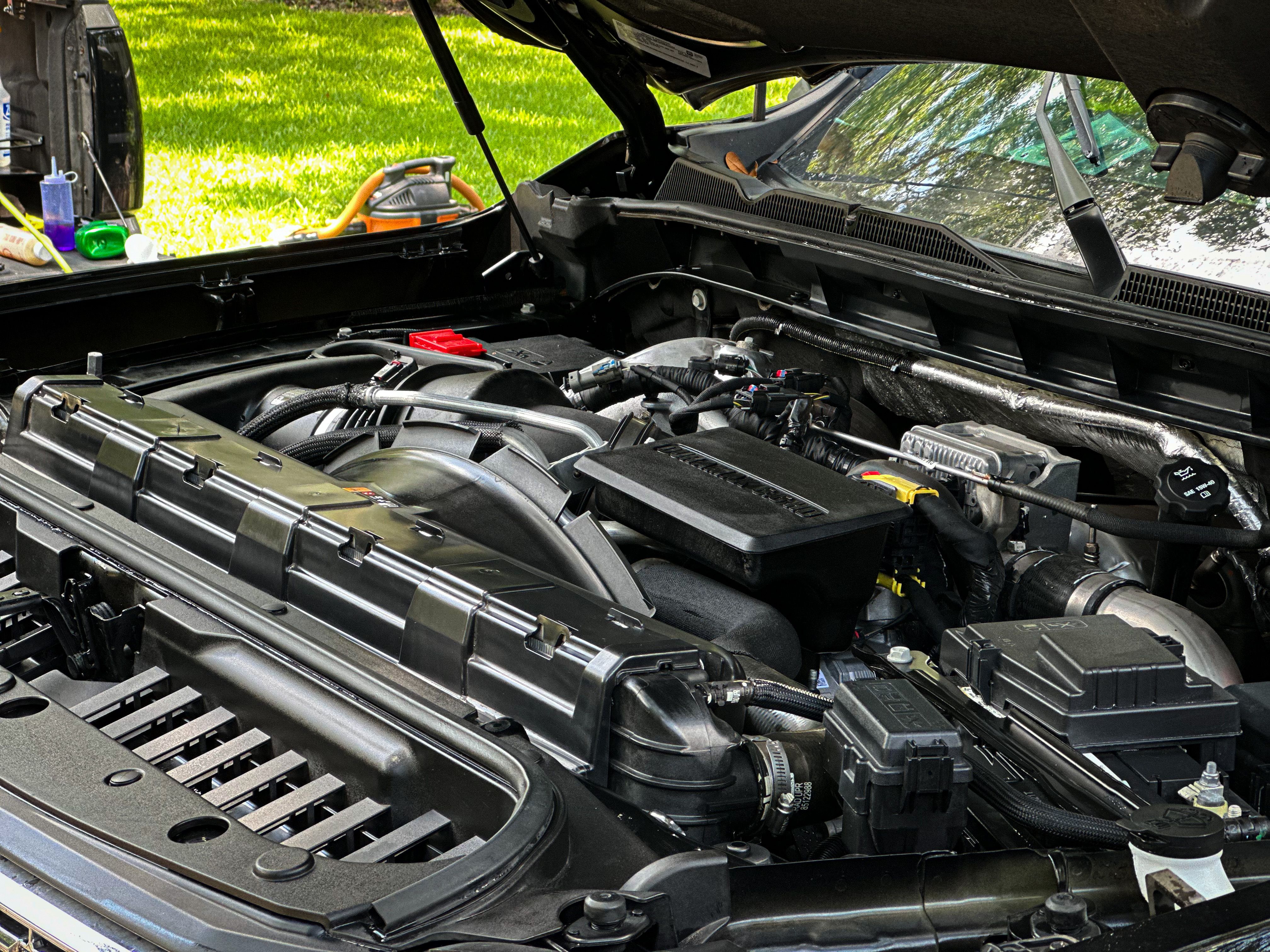 Engine Bay Detail for PalmettoRevive Mobile Detailing in Charleston, SC