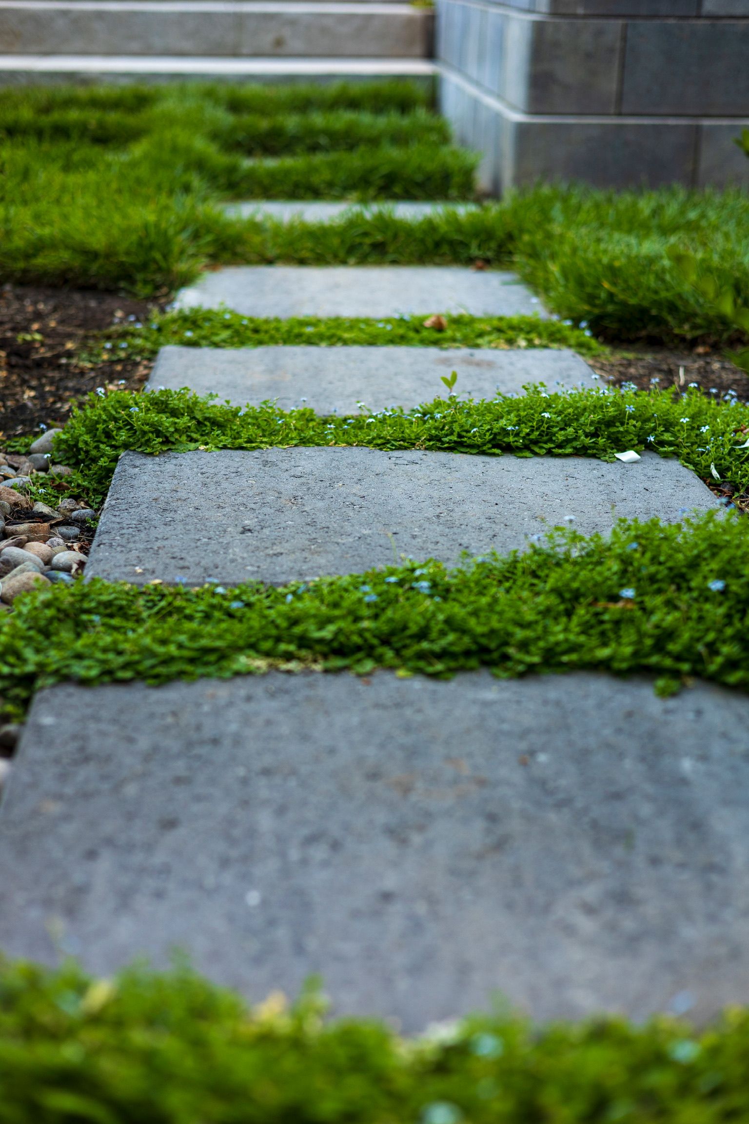  for Courtney Lewis Landscape Design in Portland, OR