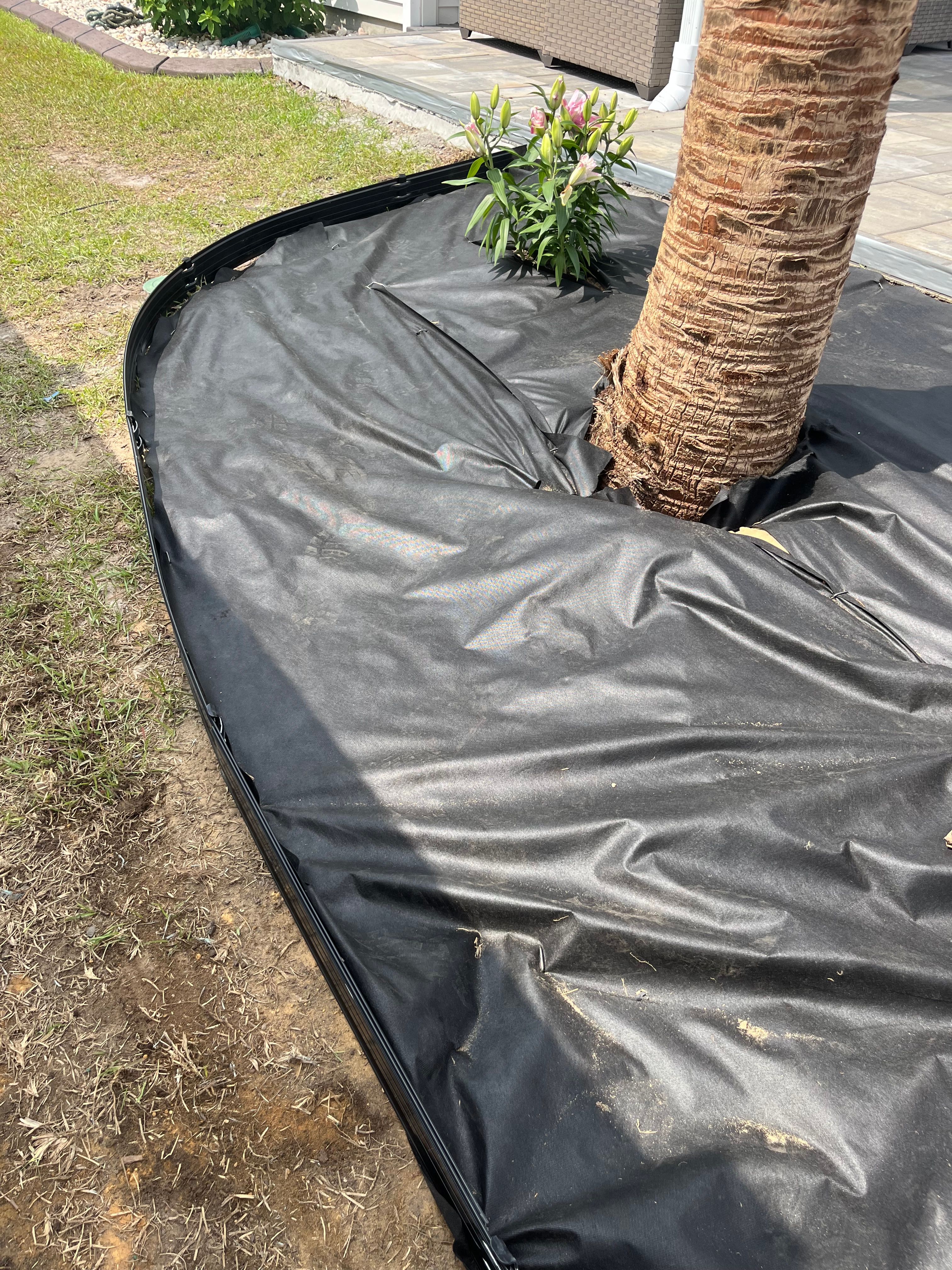  for New Creation Landscaping in Myrtle Beach, SC