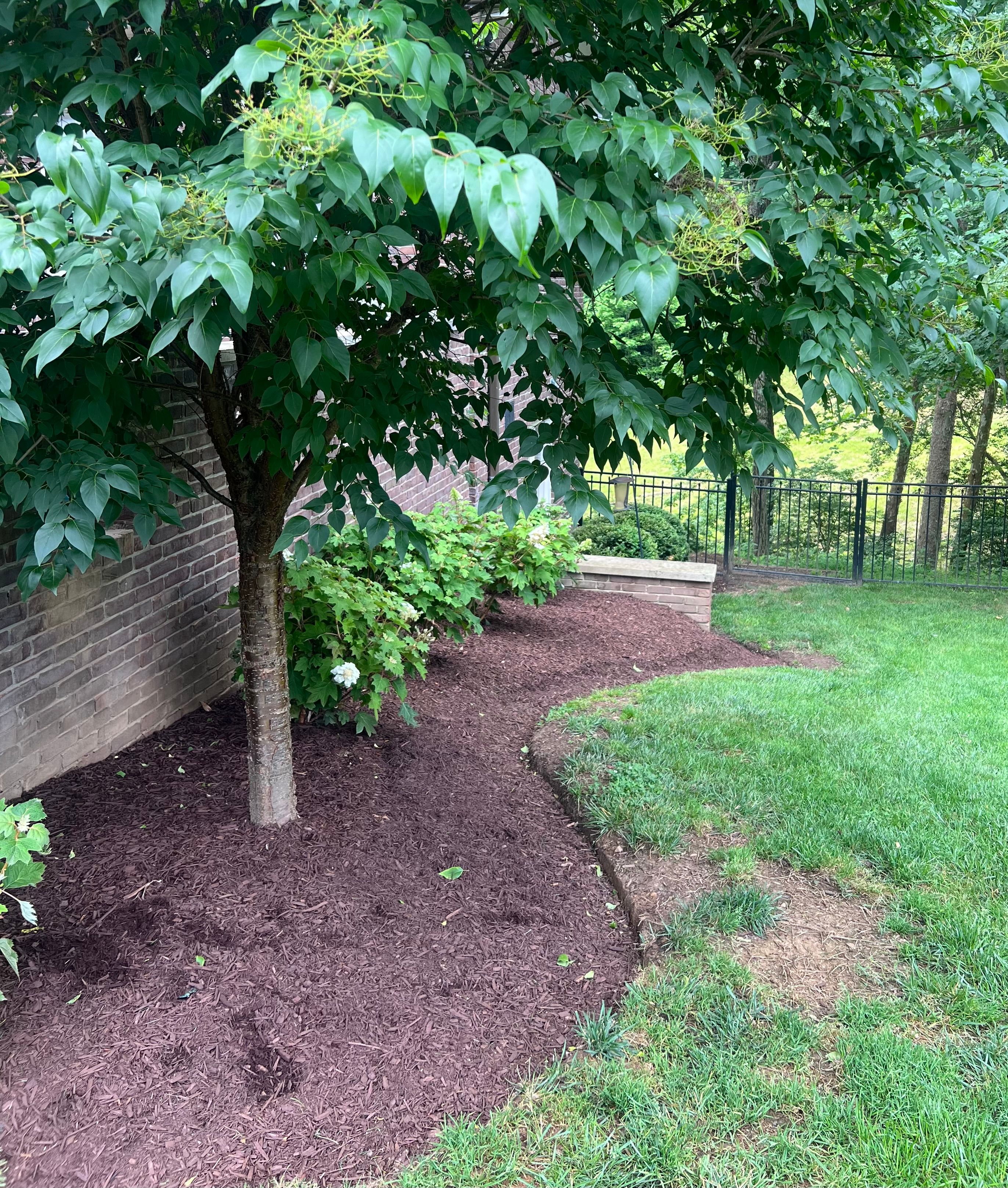  for Full Service Landscaping in Louisville, KY