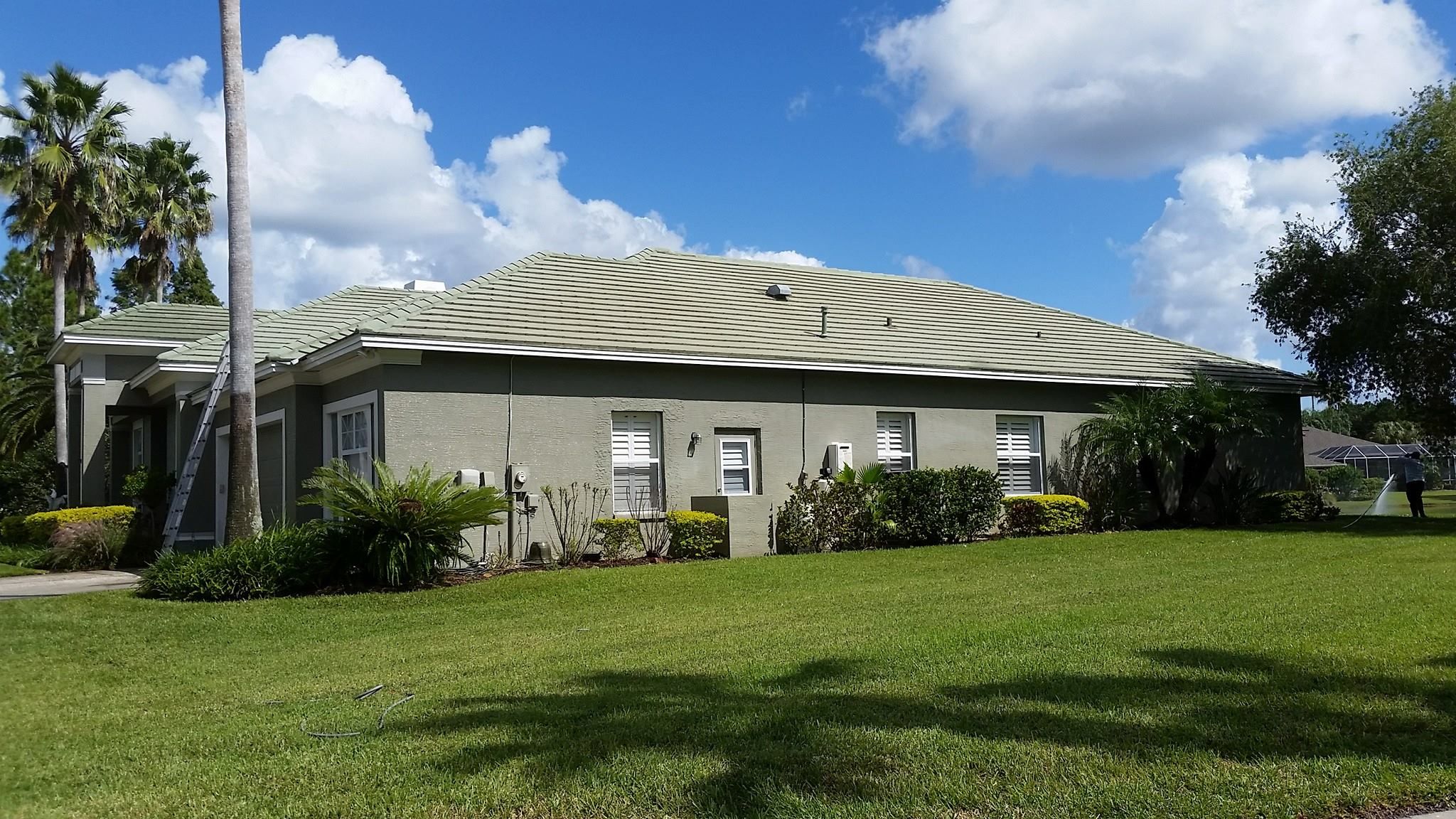  for Blue Stream Roof Cleaning & Pressure Washing in Tampa, FL