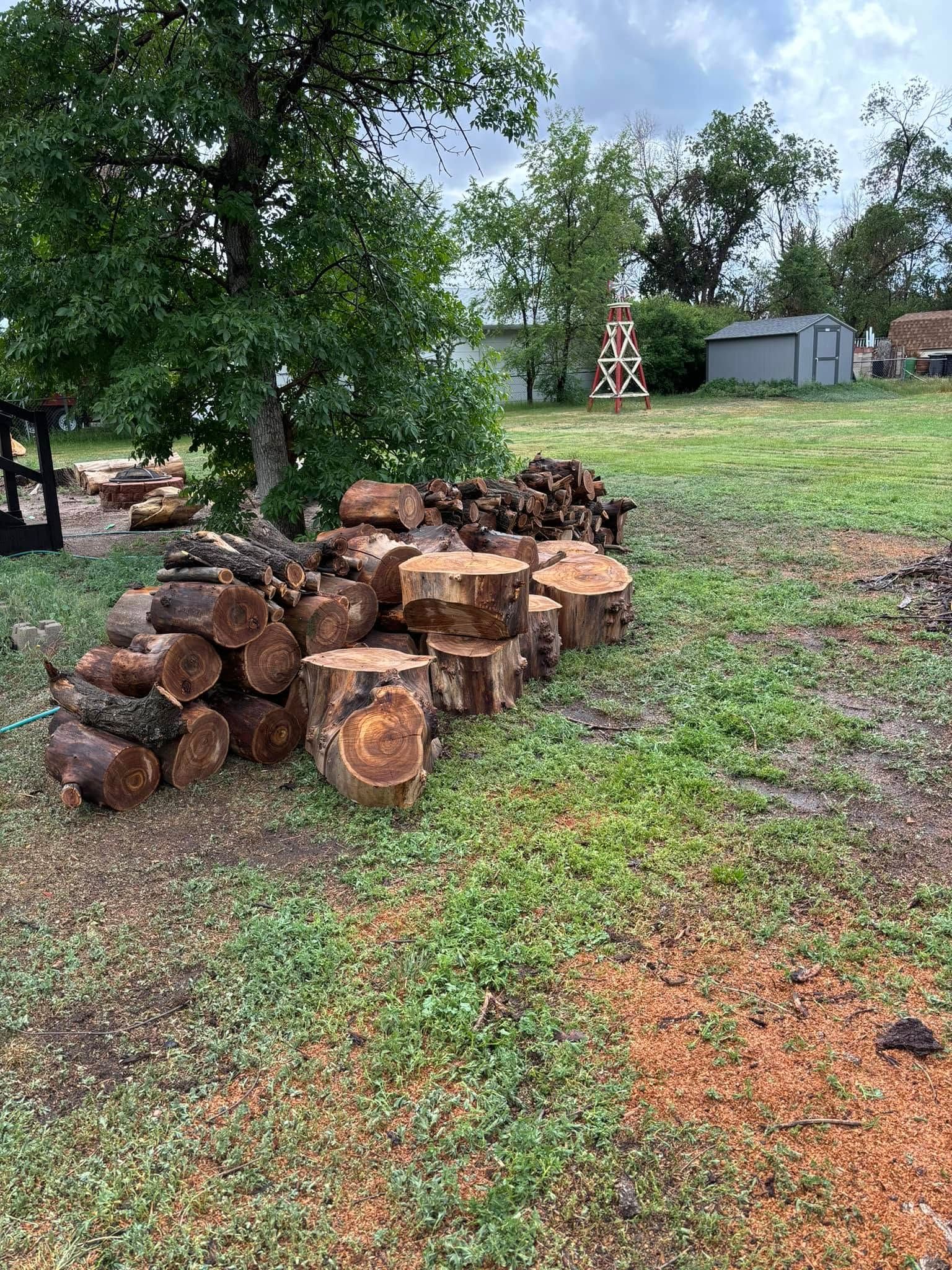 Tree Removal for Graham’s Tree Services in Pierce, CO