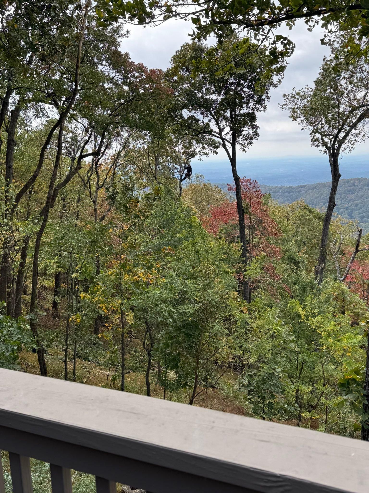 All Photos for Pinedown LLC in Cherokee County, GA