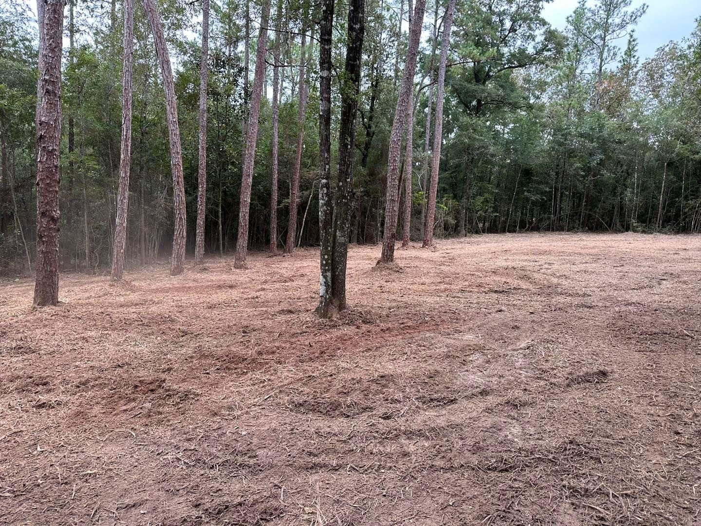  for White’s Land Maintenance in Milton,, FL