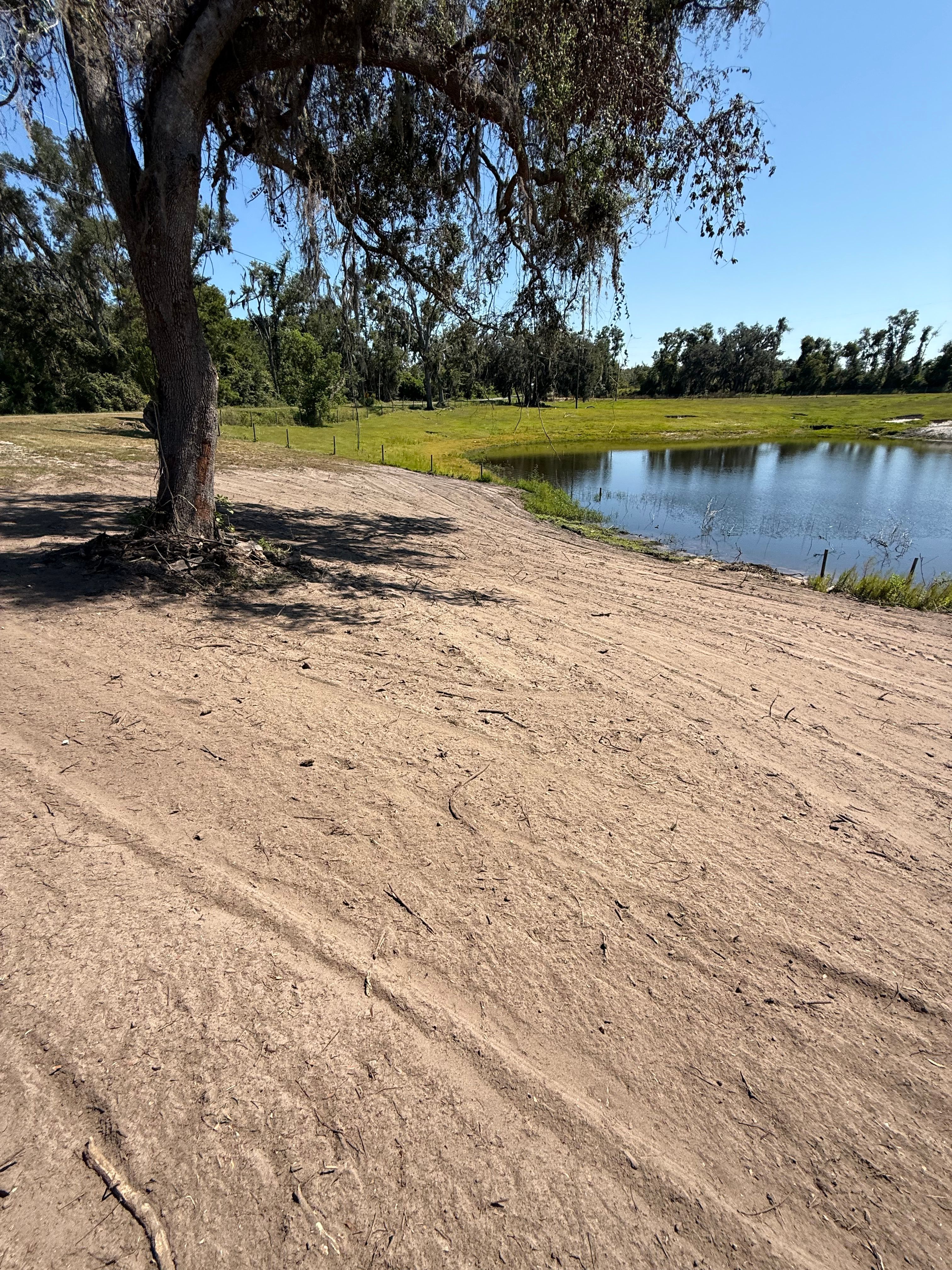  for Warners Tree Solutions in Live Oak, FL