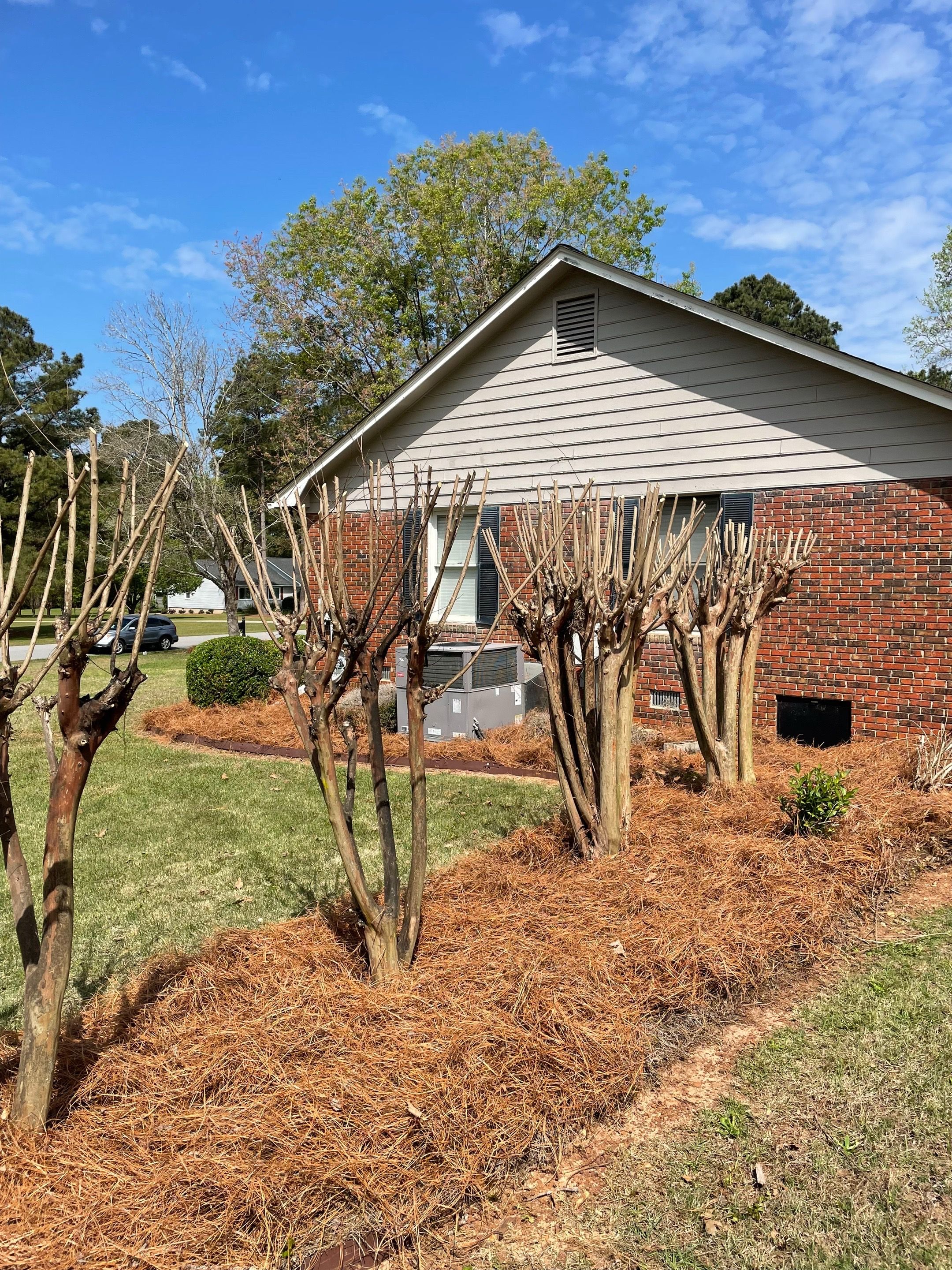 All Photos for Camalett Services in Perry, GA